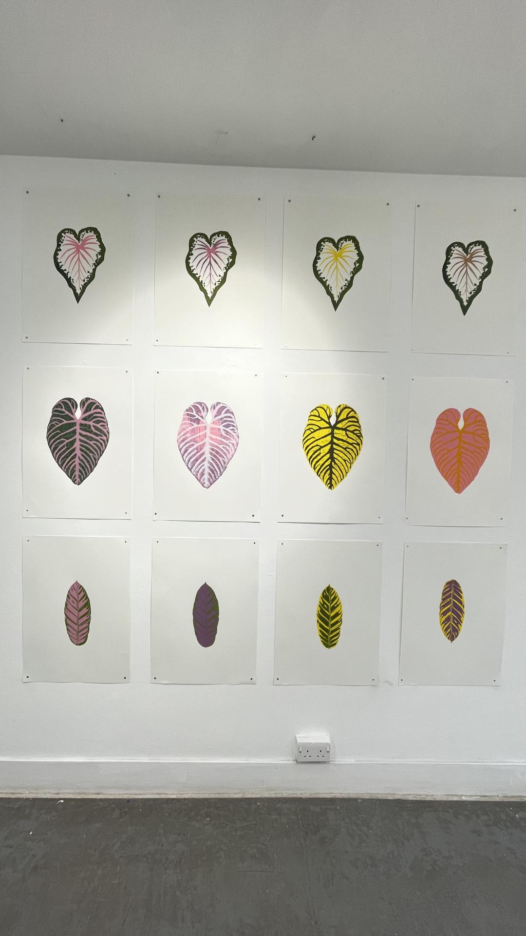 Zara Shah | Fine Art 2