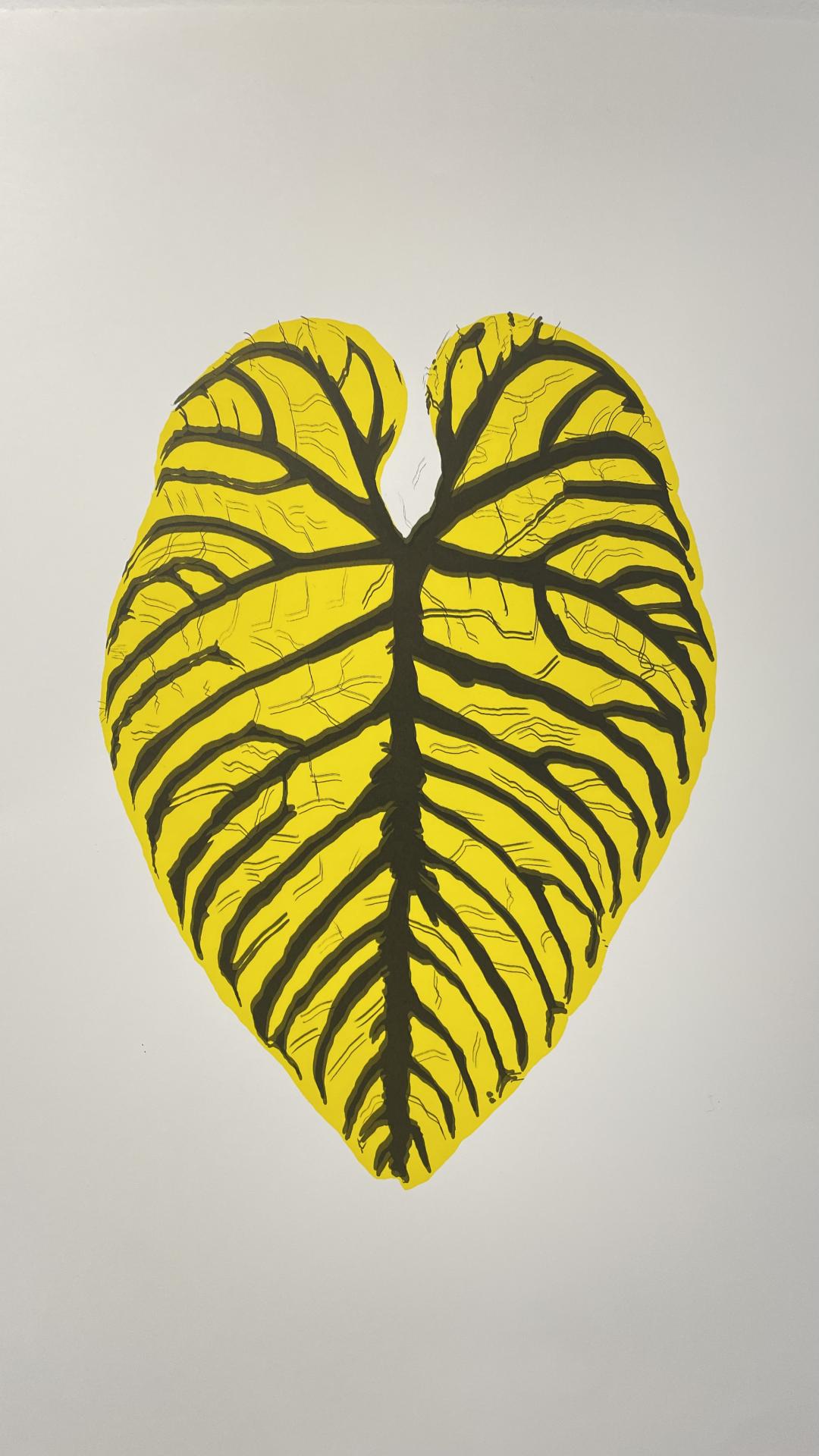 Zara Shah | Fine Art 1