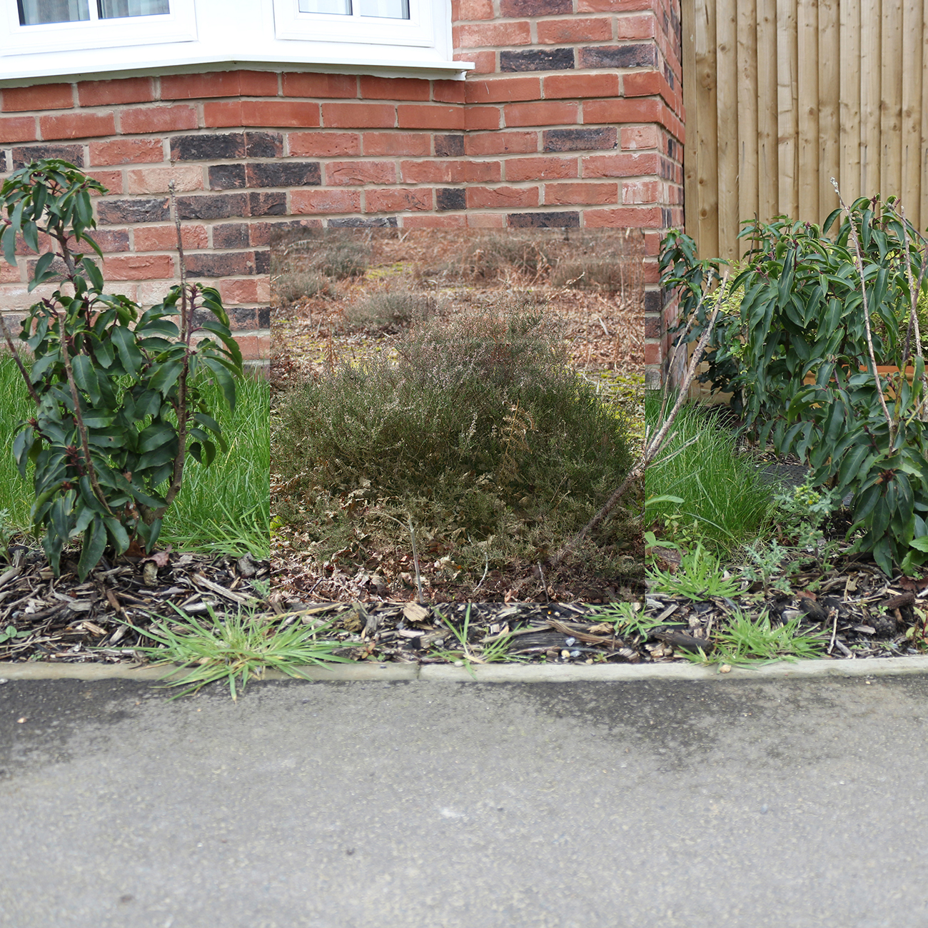 Bronwyn Bryant | Photography