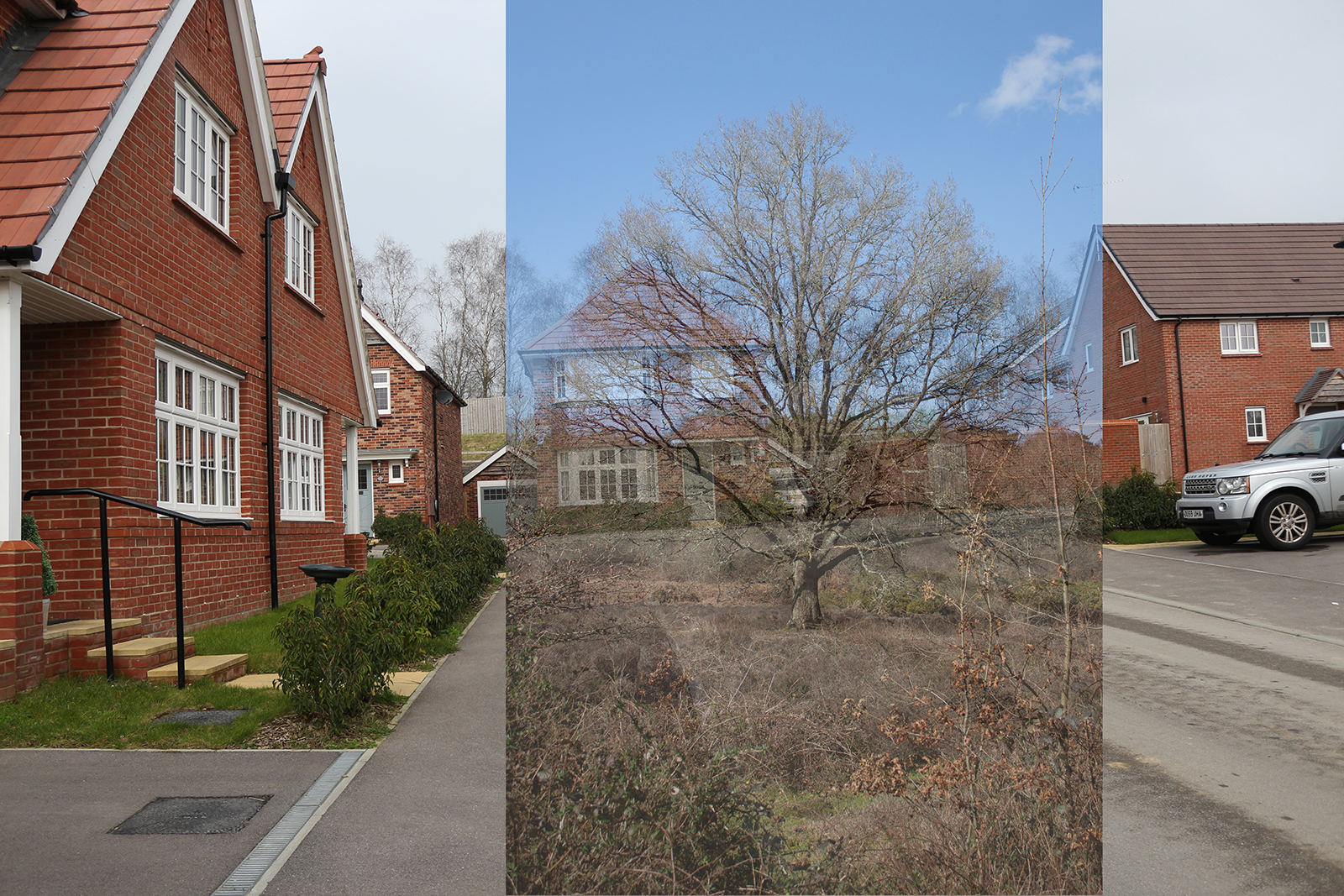 Bronwyn Bryant | Photography 4