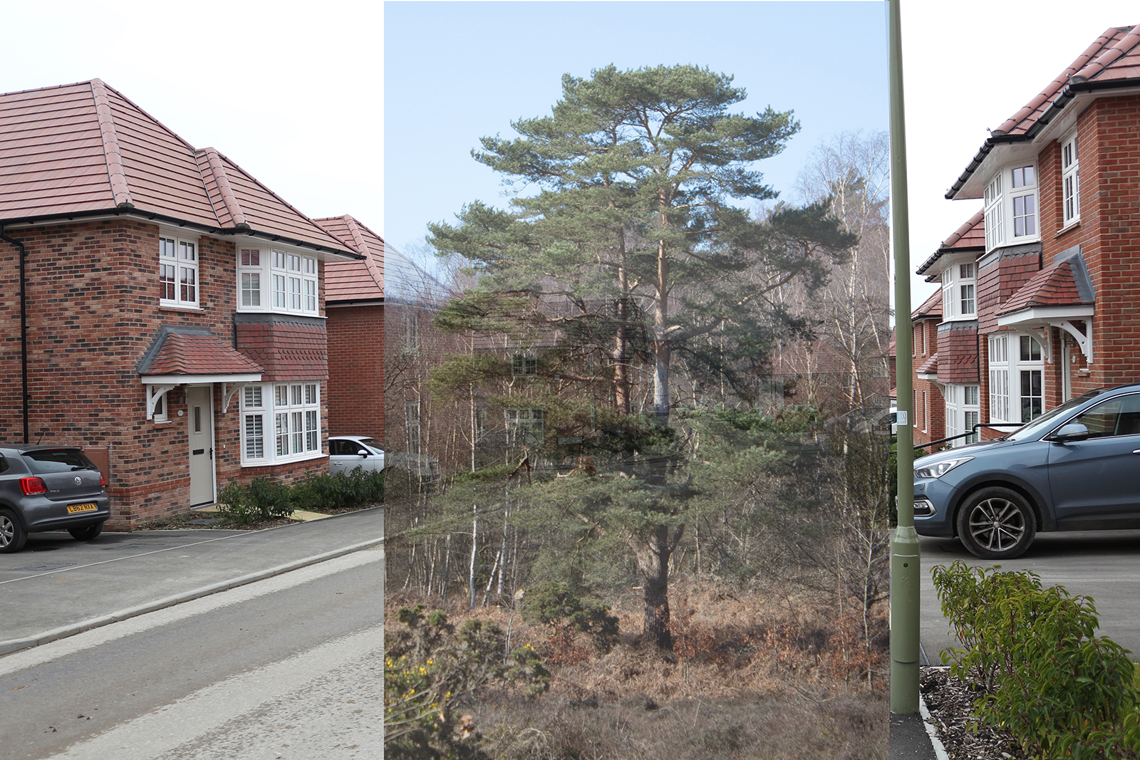 Bronwyn Bryant | Photography 2