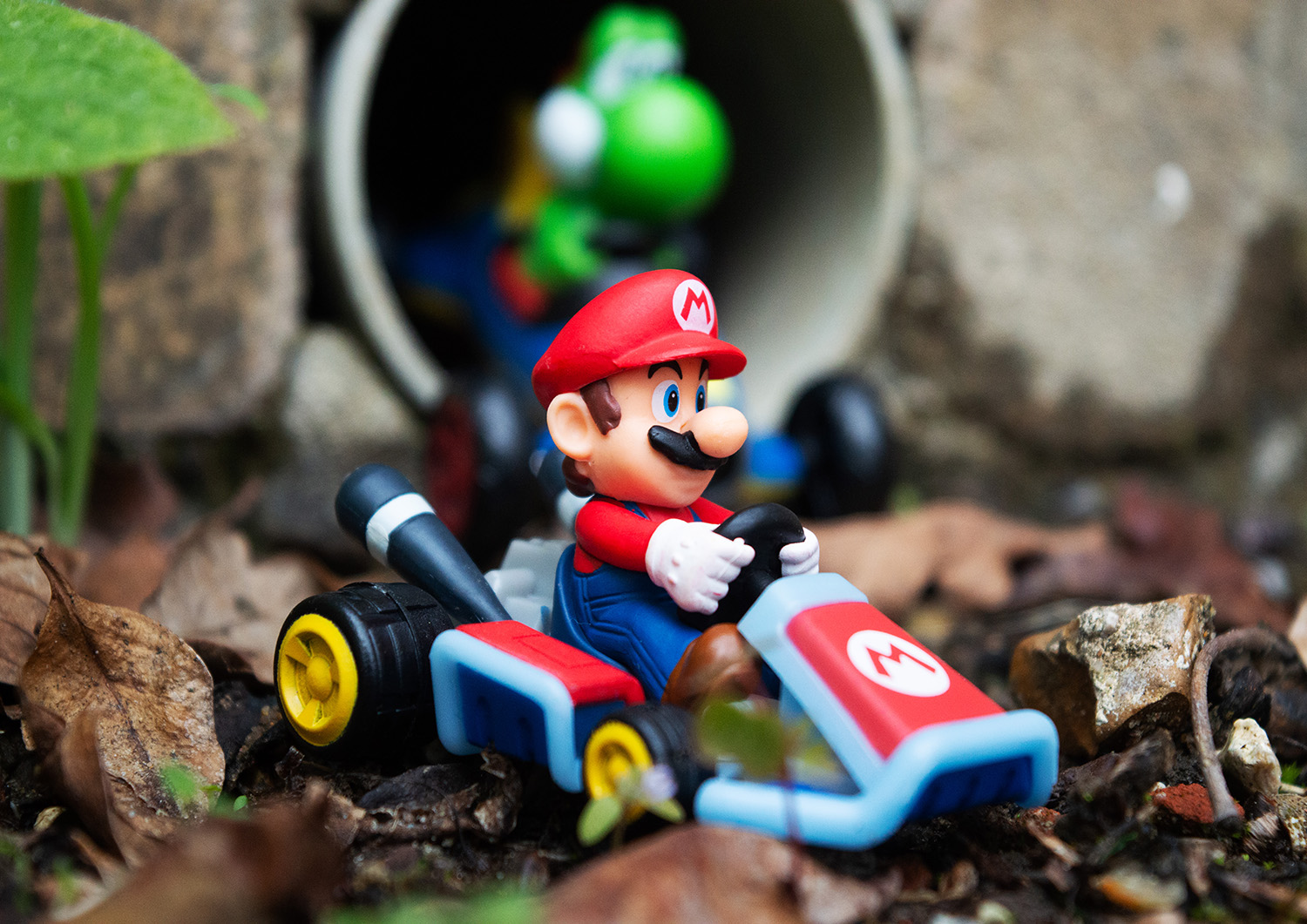 Abby Macafee | Photography 7