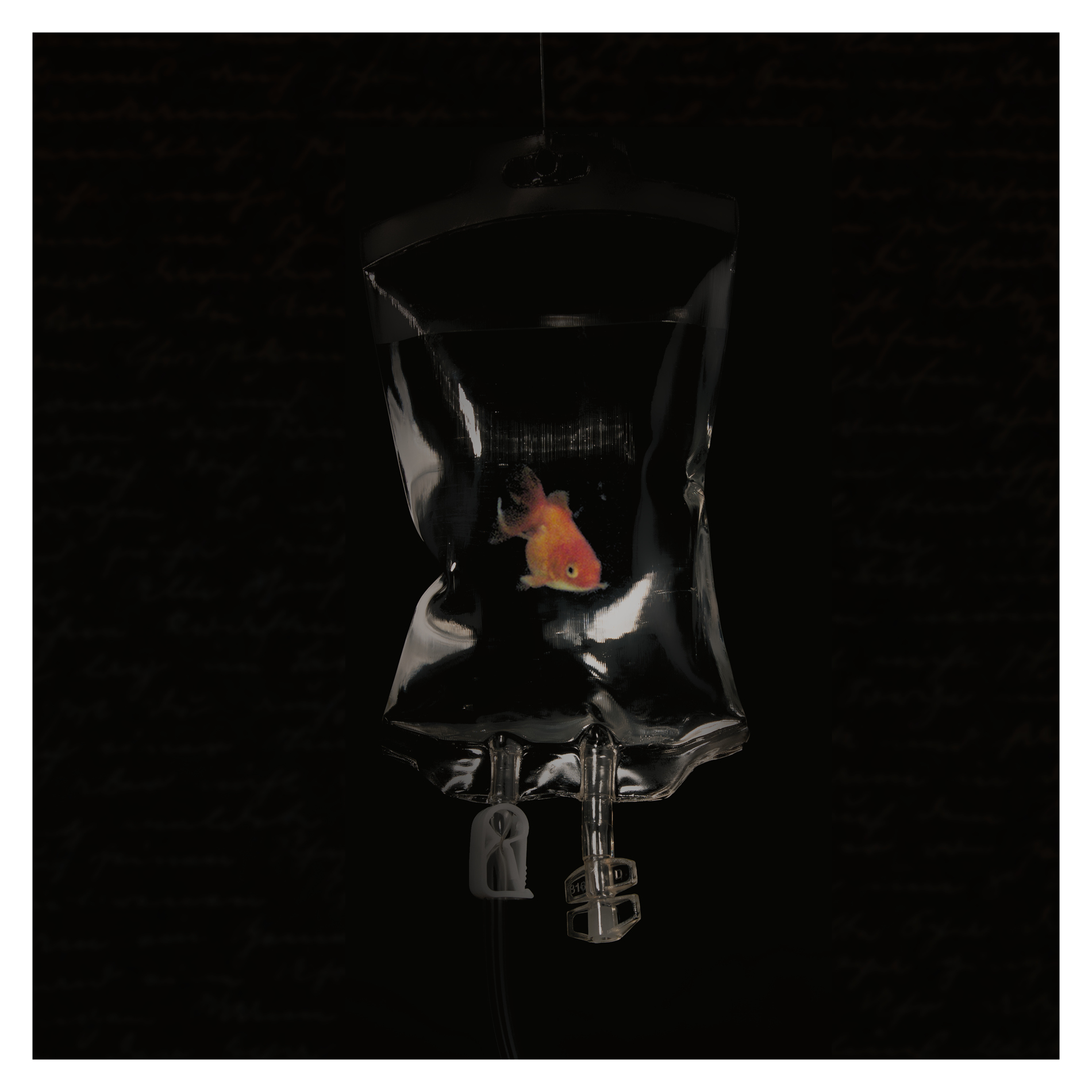 Rancho Zhu | Film & TV