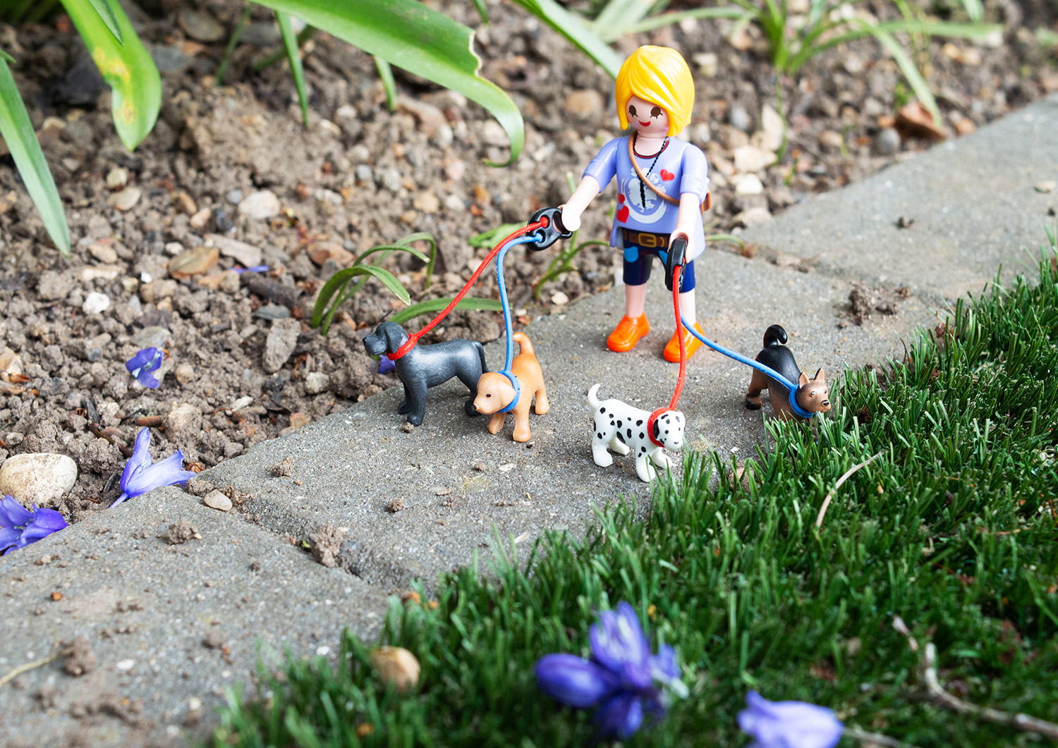 Abby Macafee | Photography 6