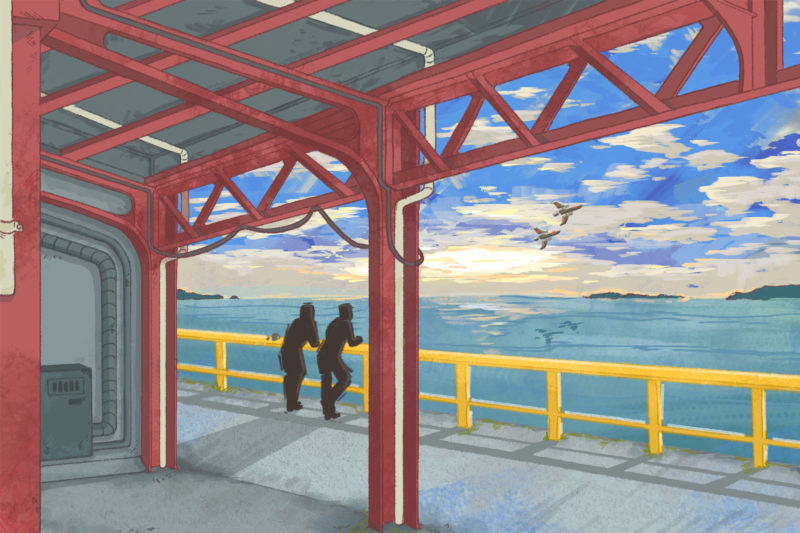 Megan Lawrence | Illustration