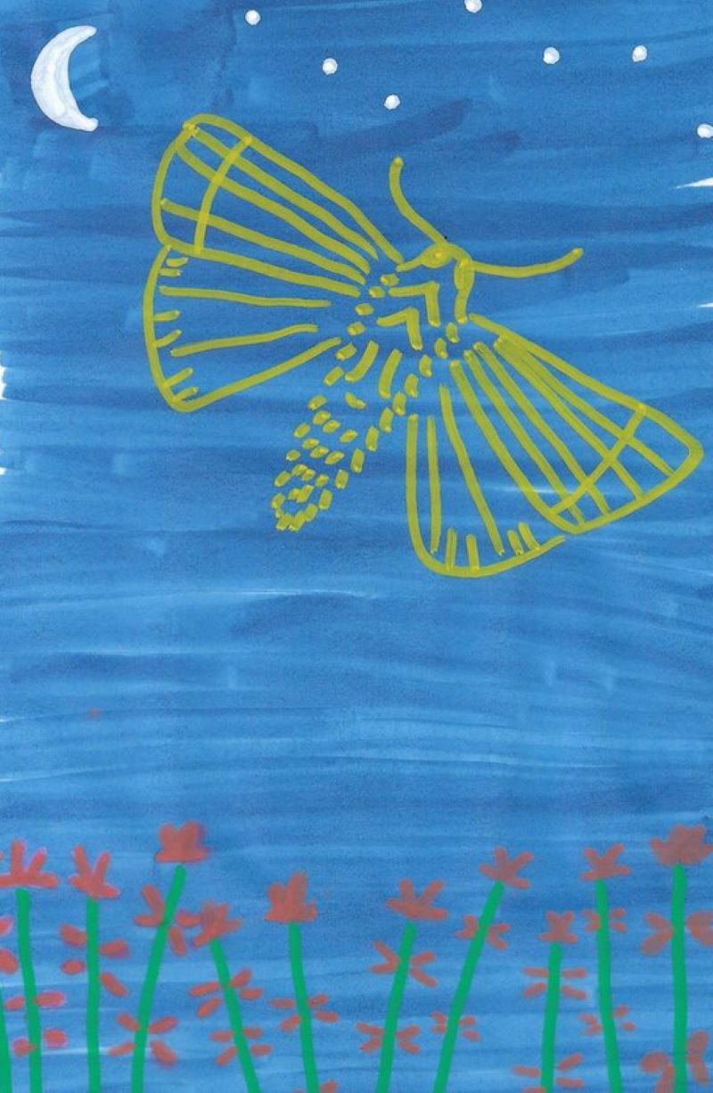 Aisha Dene | Illustration 1