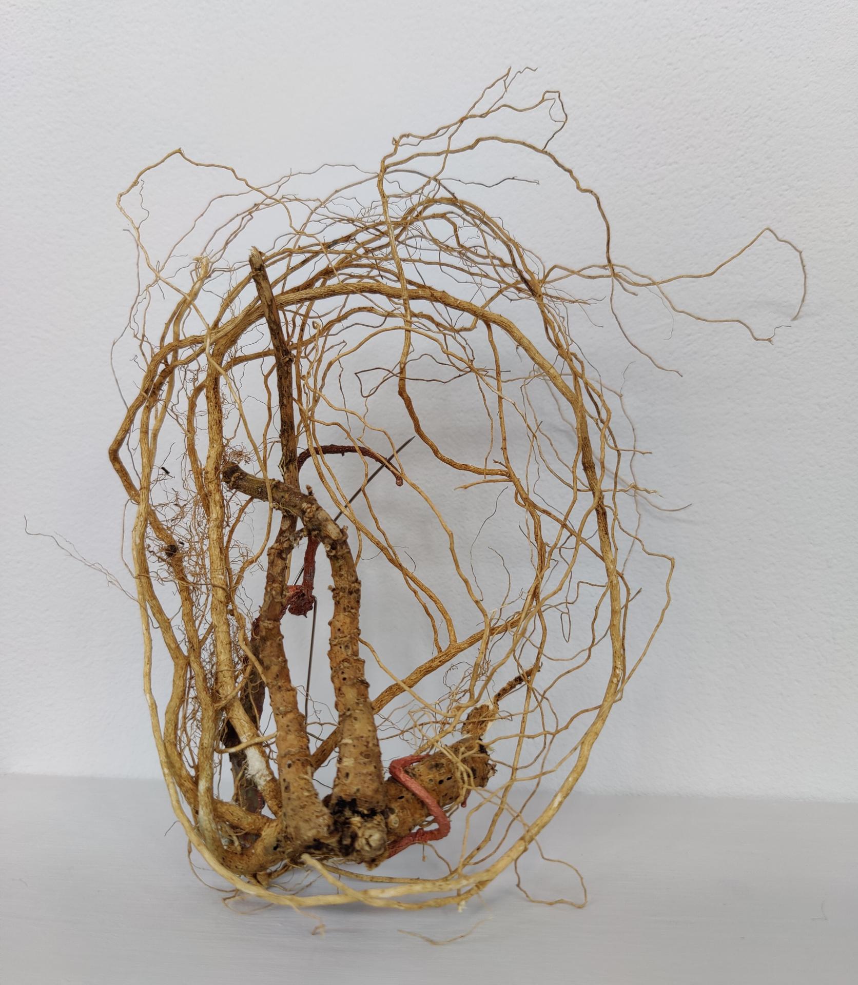 Ganna Slizkova | Crafts 5