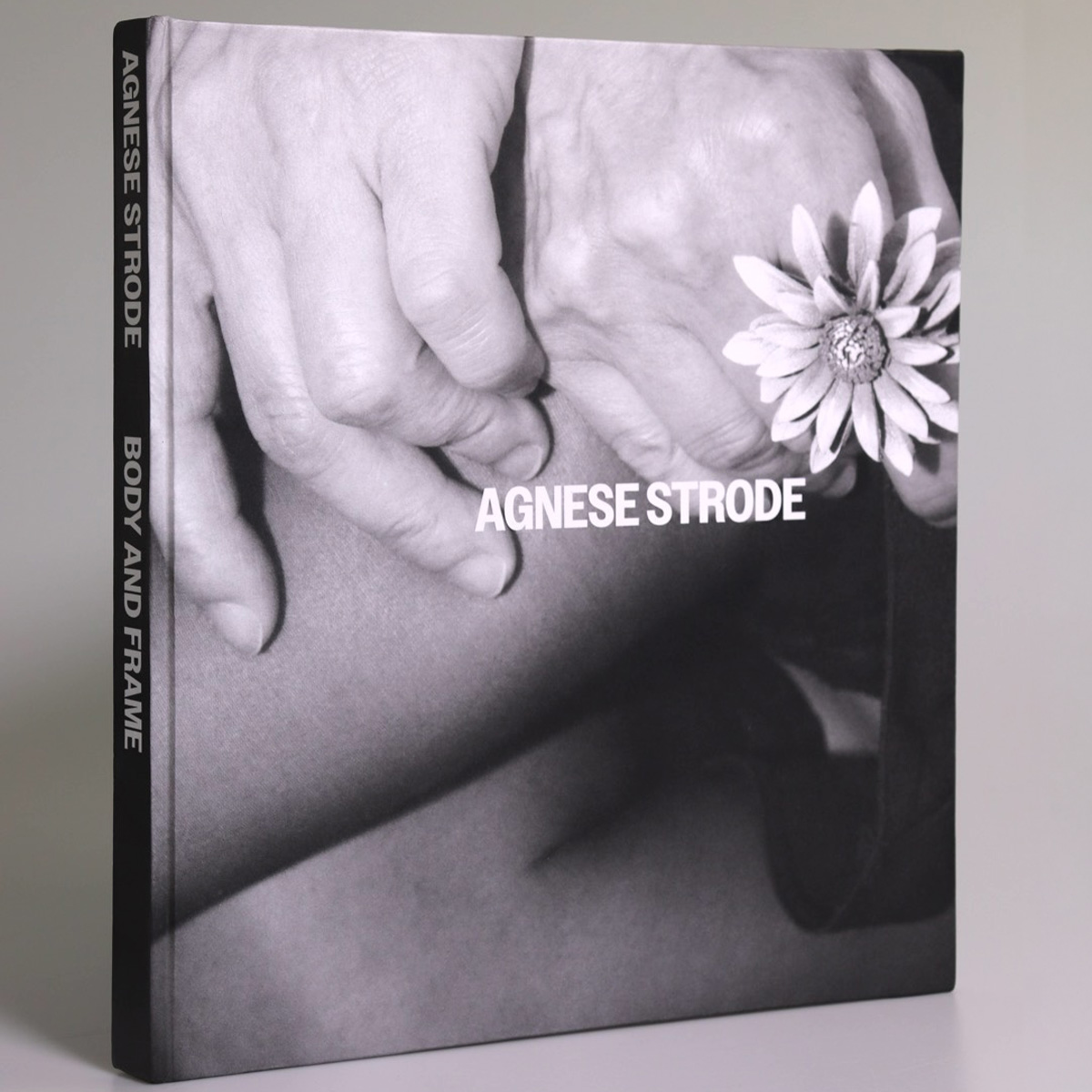 Agnese Strode | Graphic Design 6