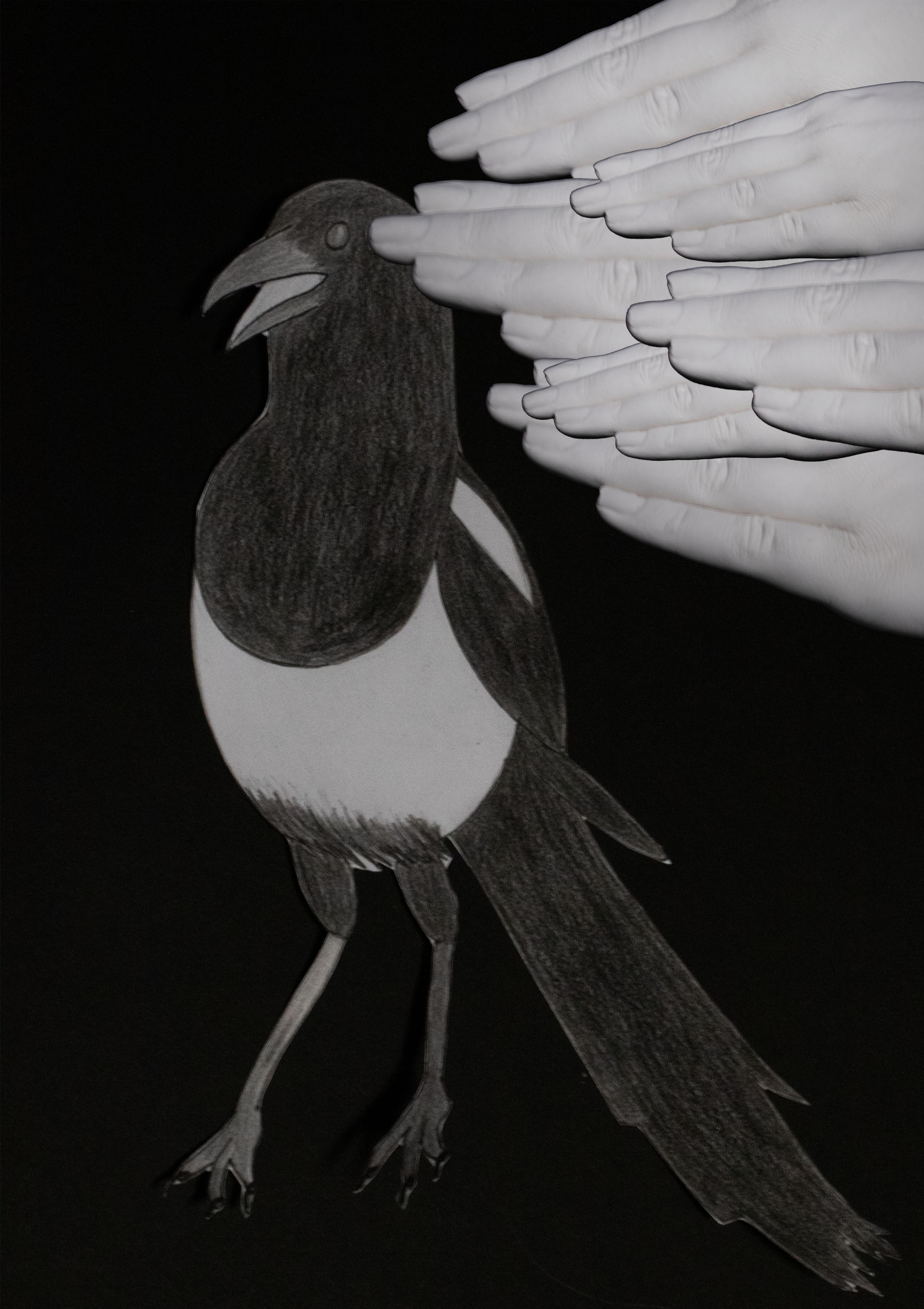 Leia Mount | Photography 3