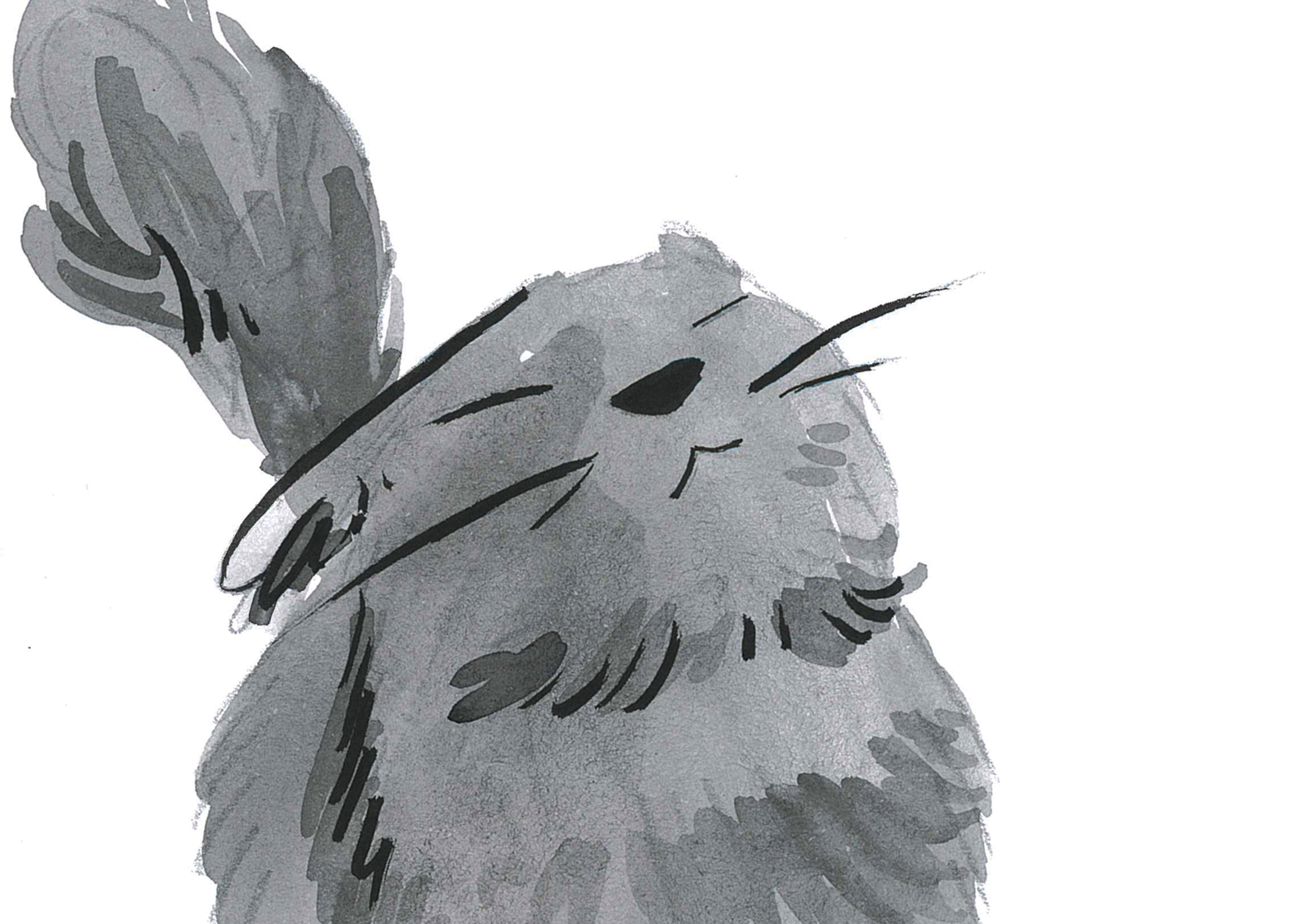 Bea Burns | Illustration