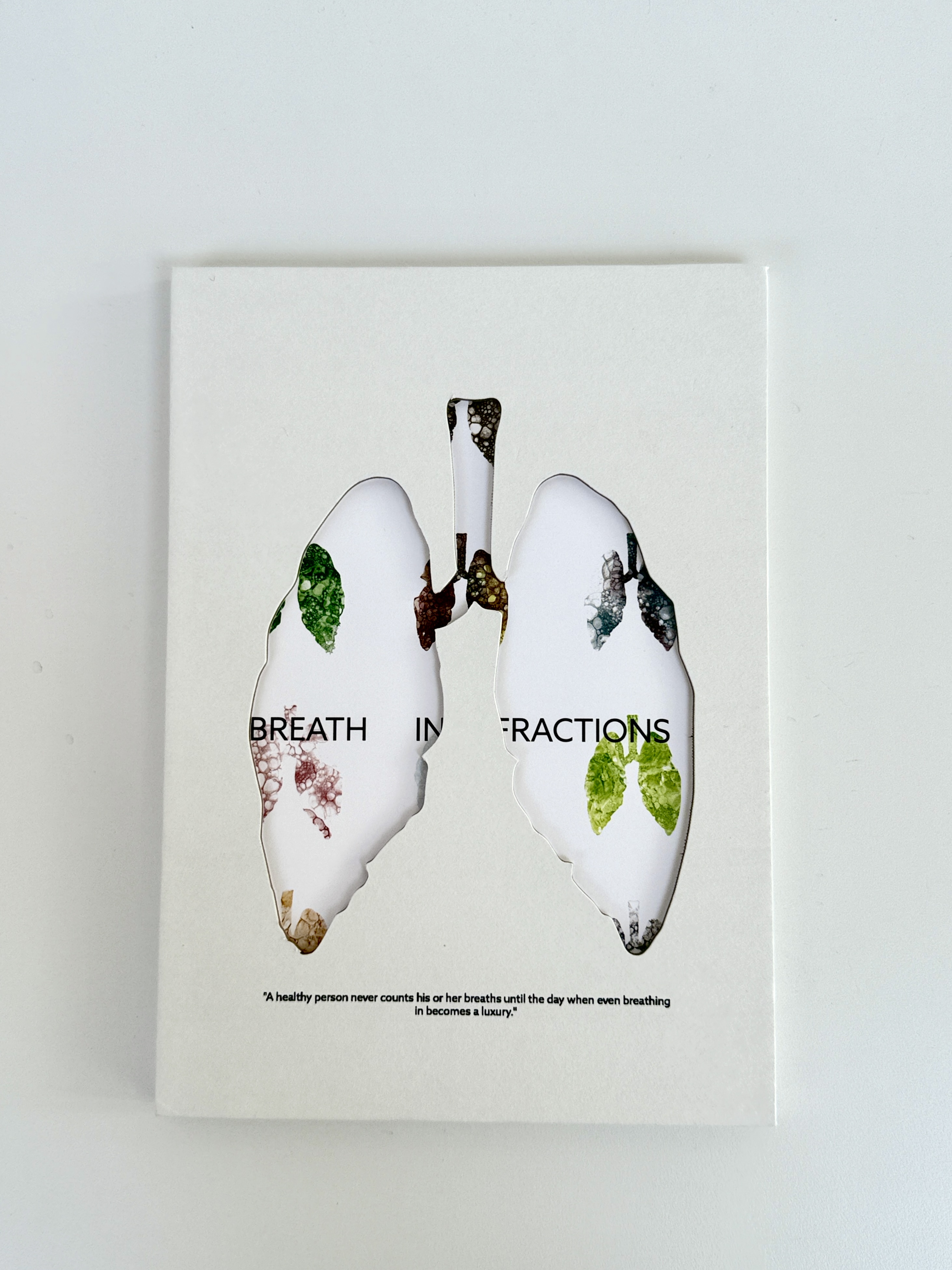 Jingru Jiang | Graphic Design 1