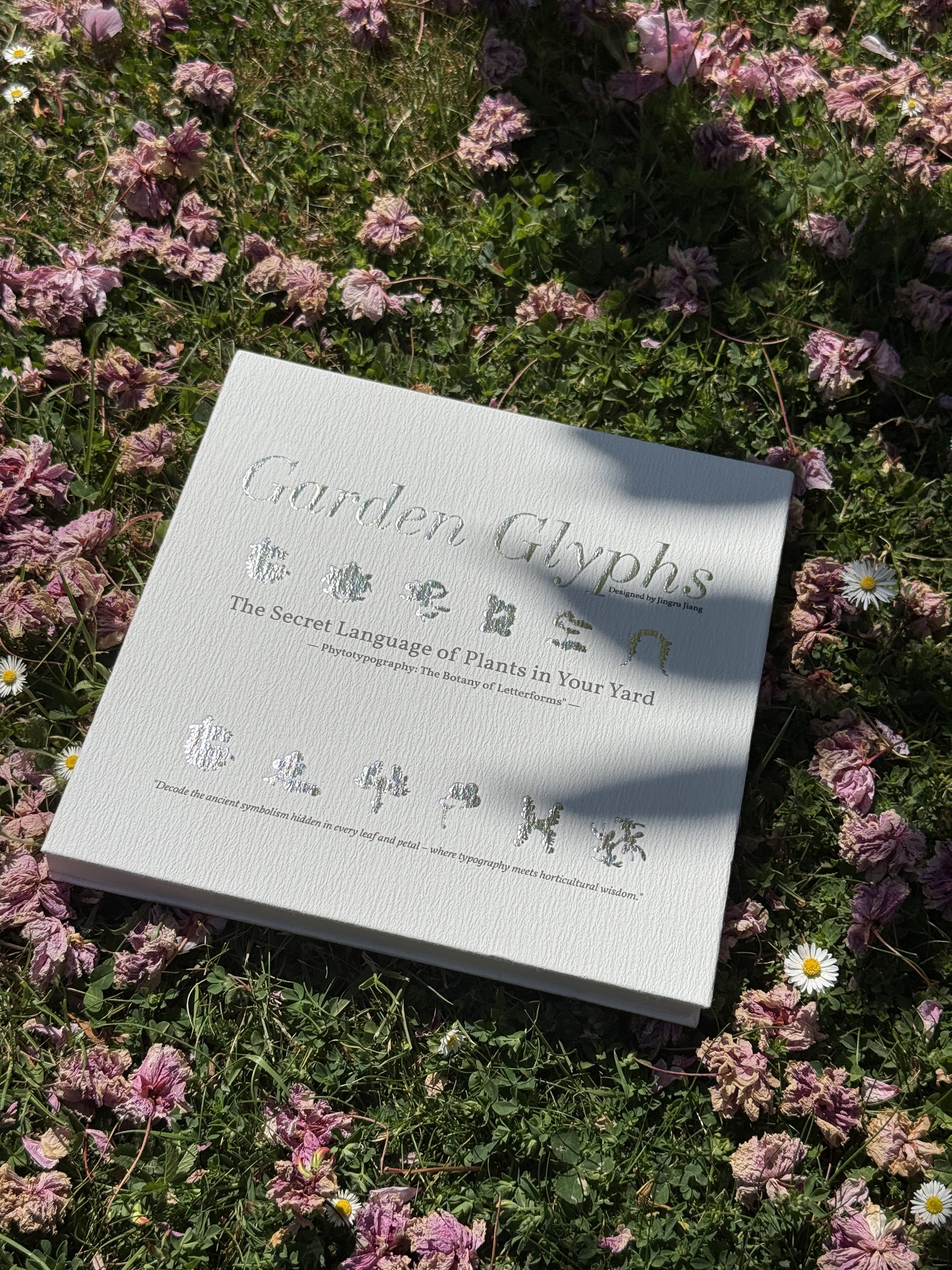 Jingru Jiang | Graphic Design 4