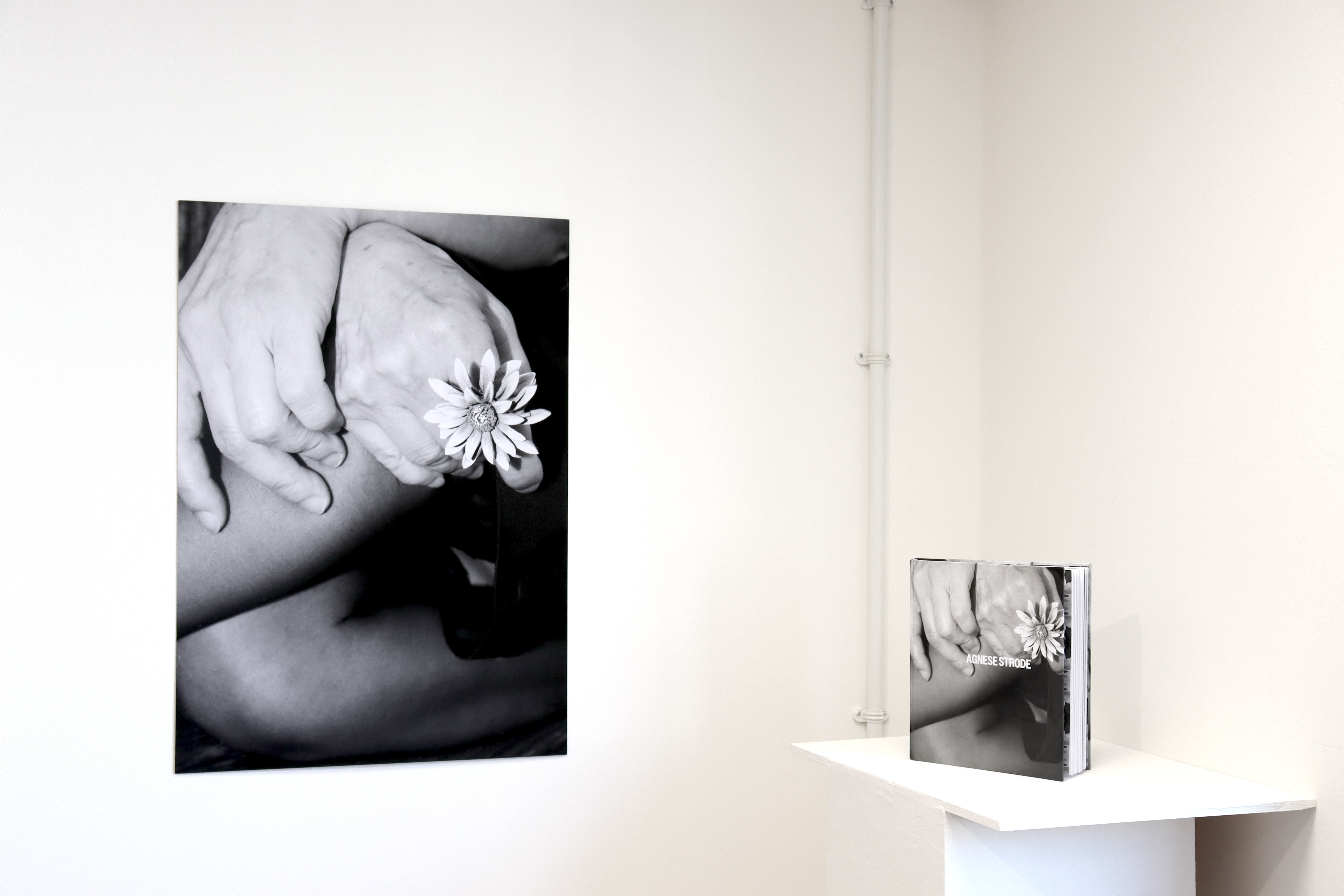 Agnese Strode | Graphic Design 5