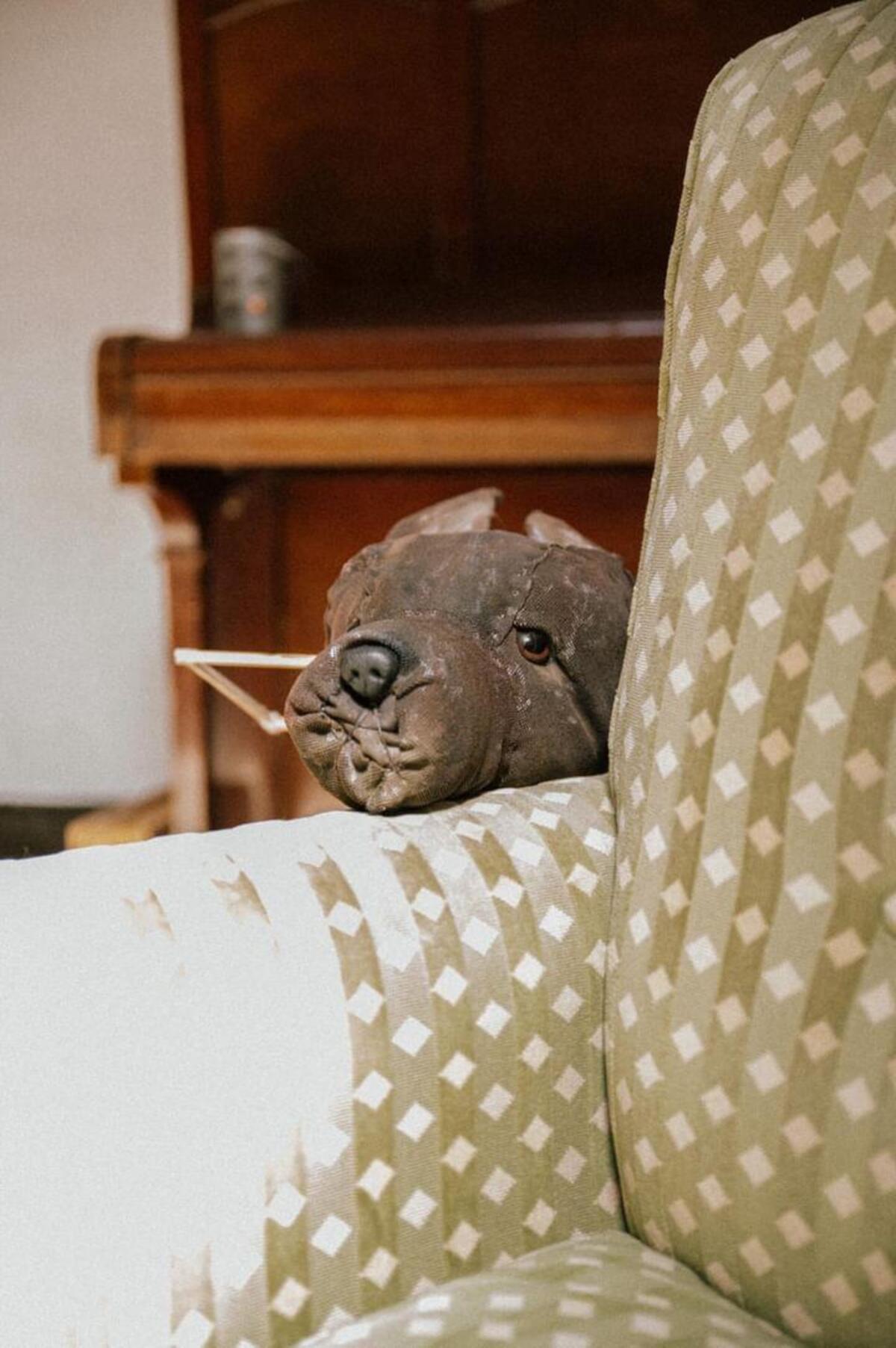 Lieven Fountain-Vessey | Performing Arts 4