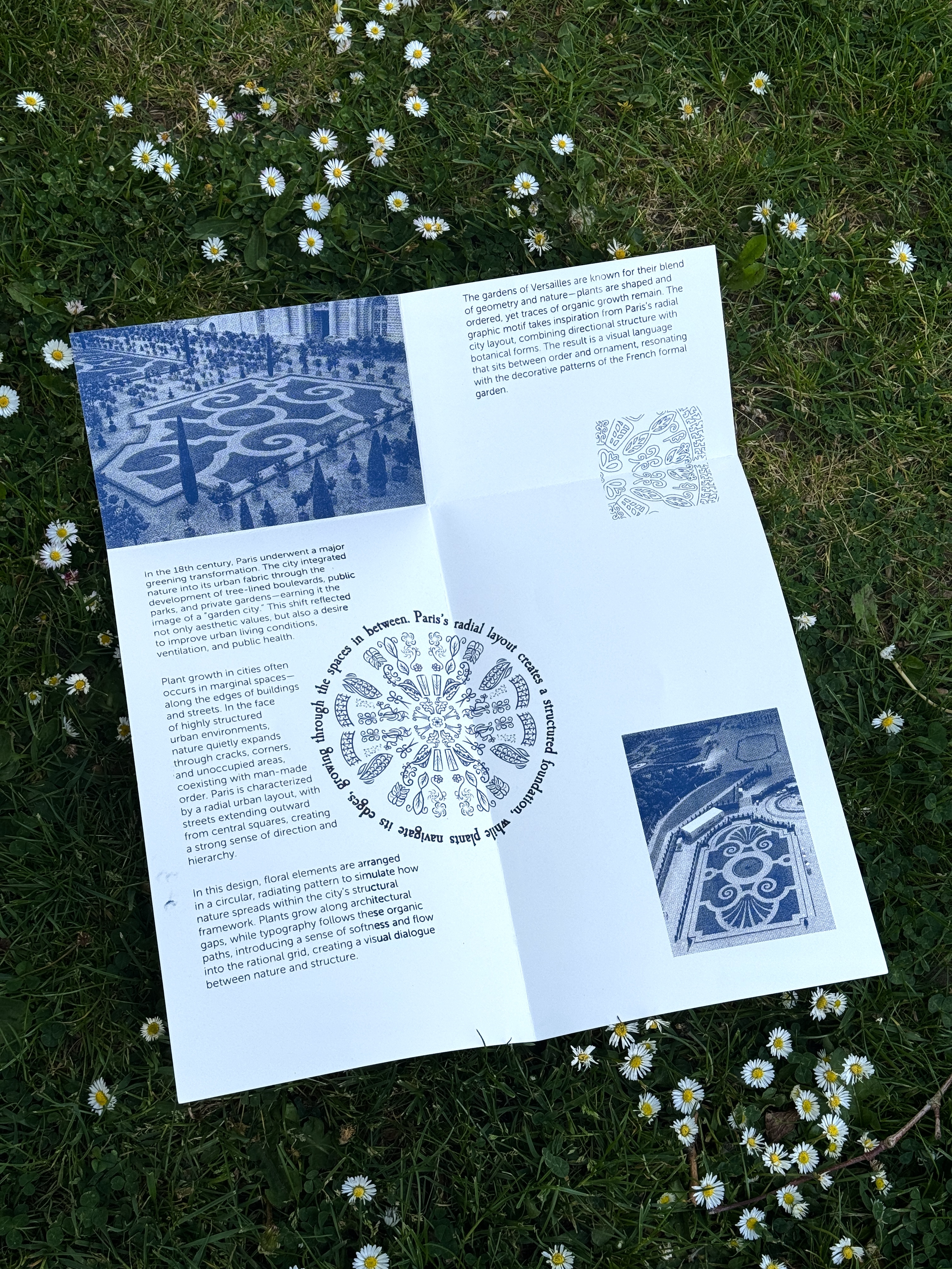 Yingjia Chen | Graphic Design