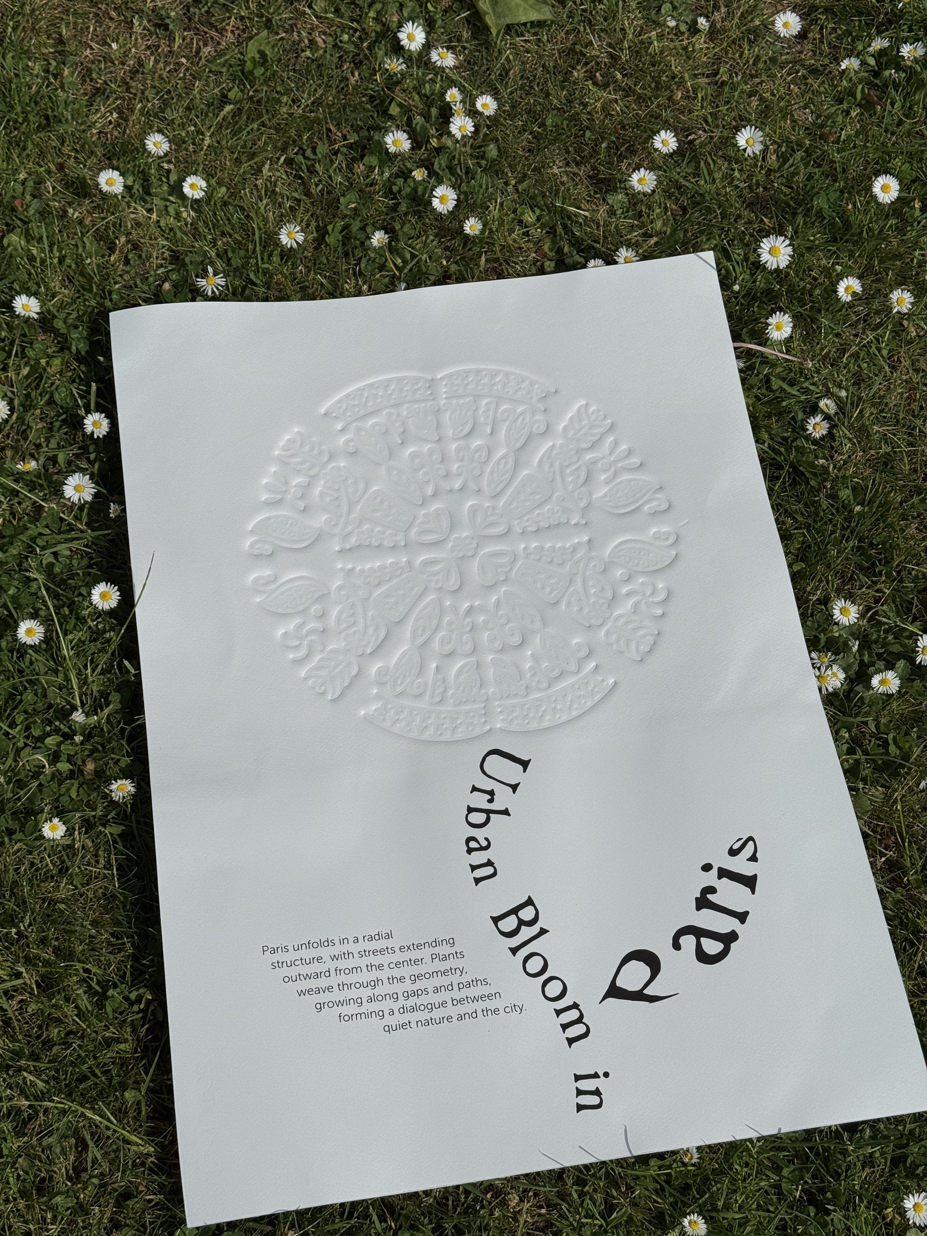 Yingjia Chen | Graphic Design 2