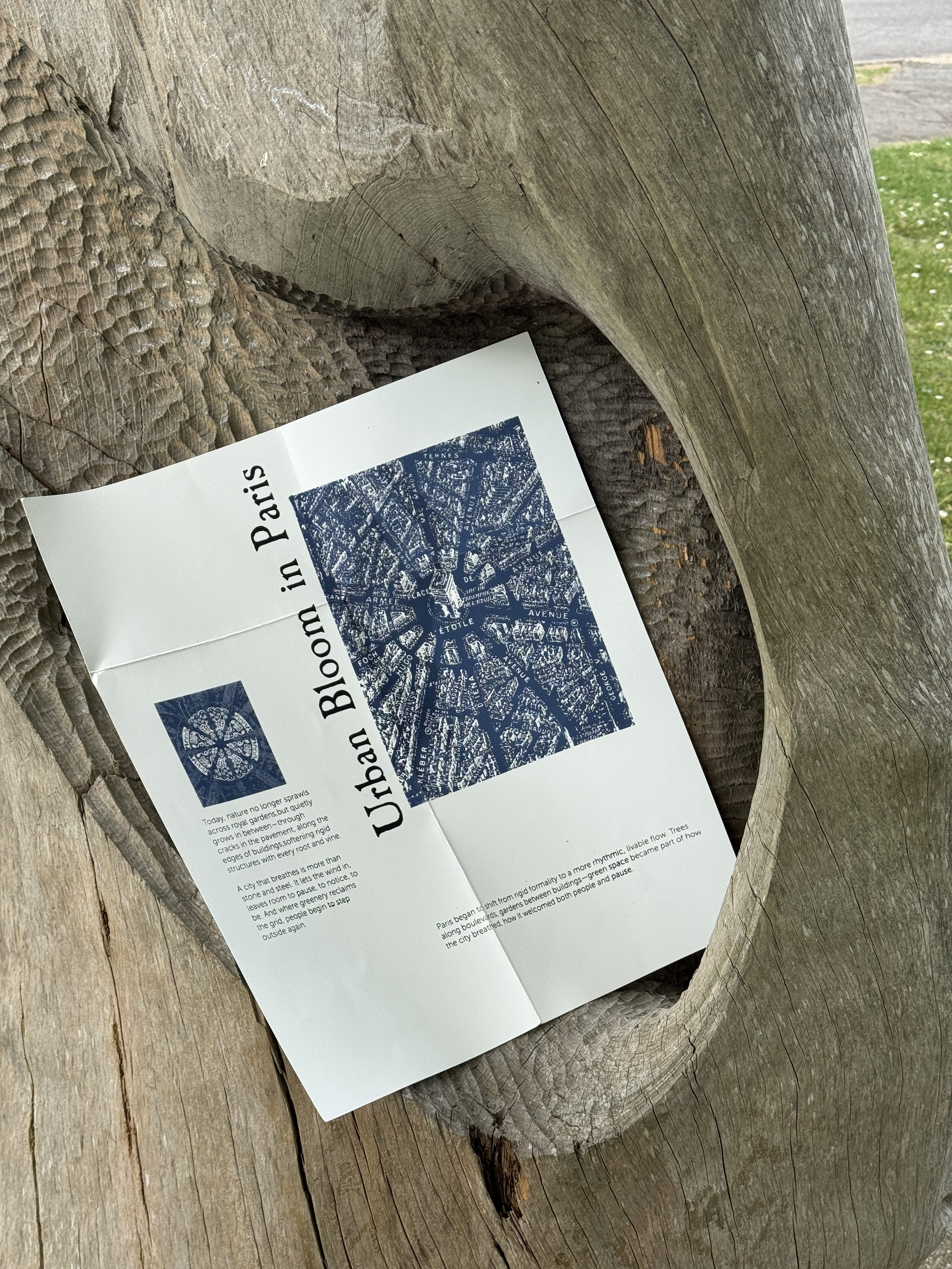 Yingjia Chen | Graphic Design 1