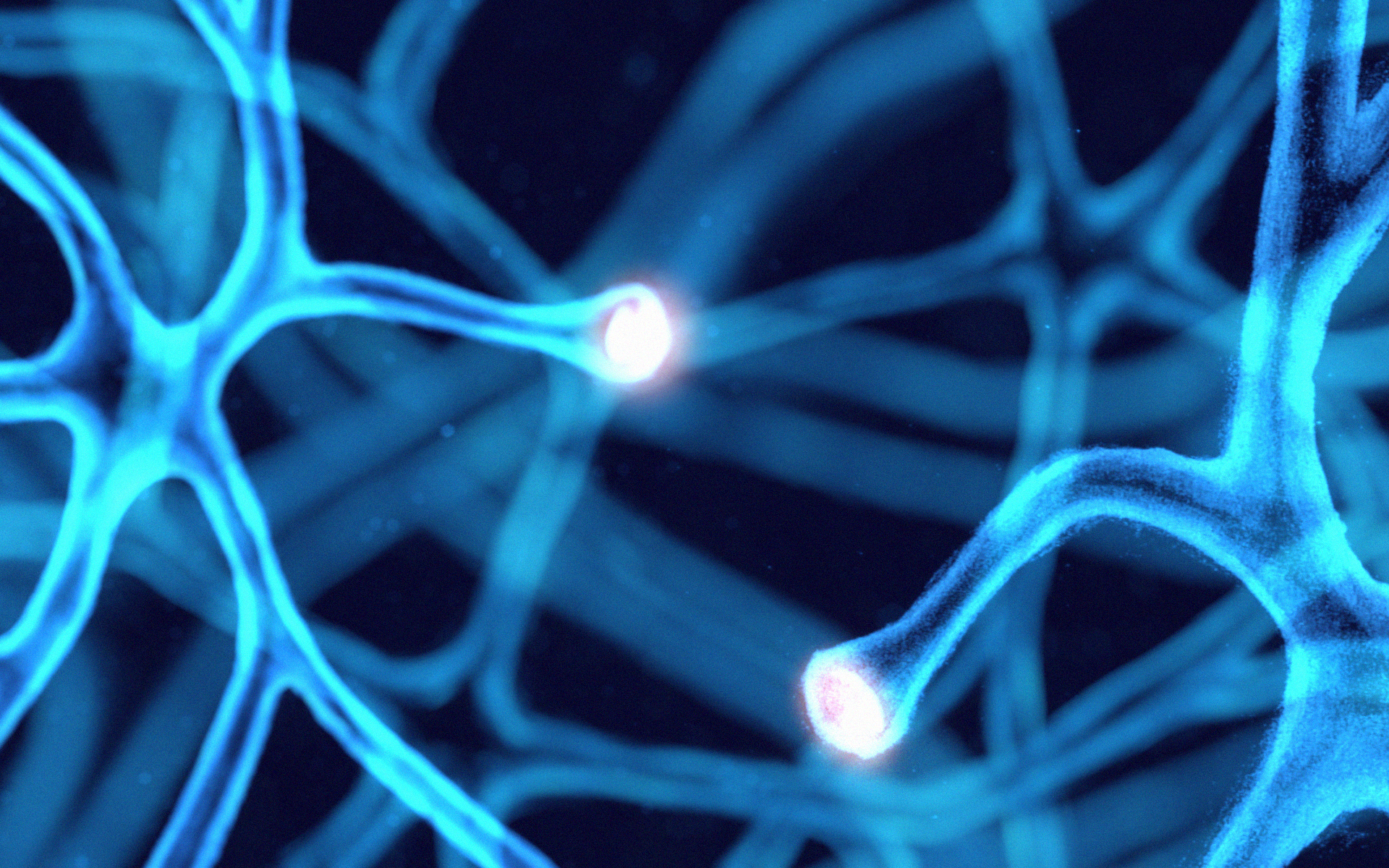 Maha Noor | Animation 4