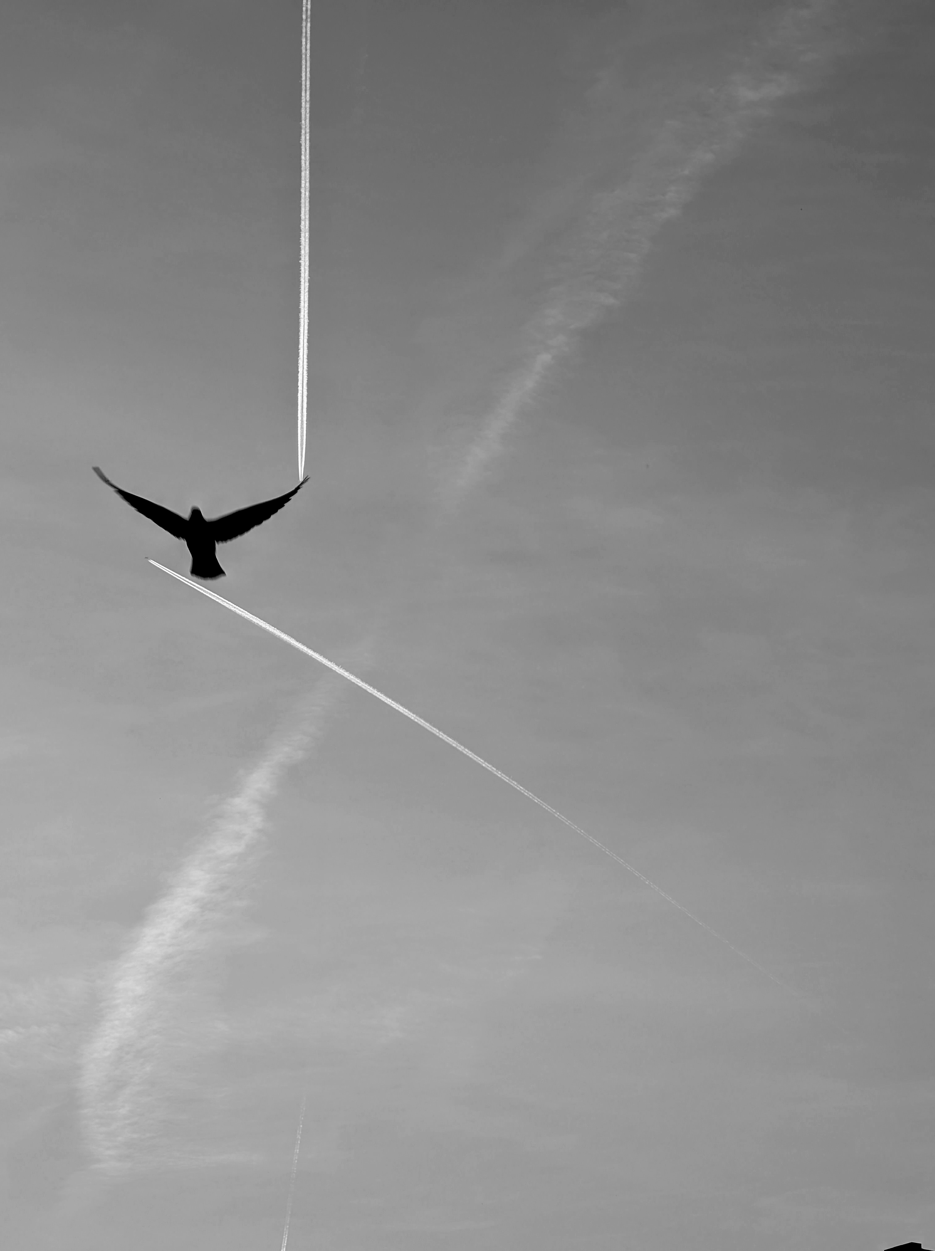 Muhammad Zubair Taqi | Photography