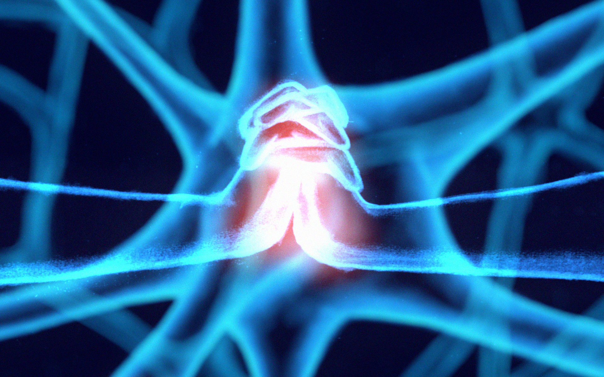 Maha Noor | Animation