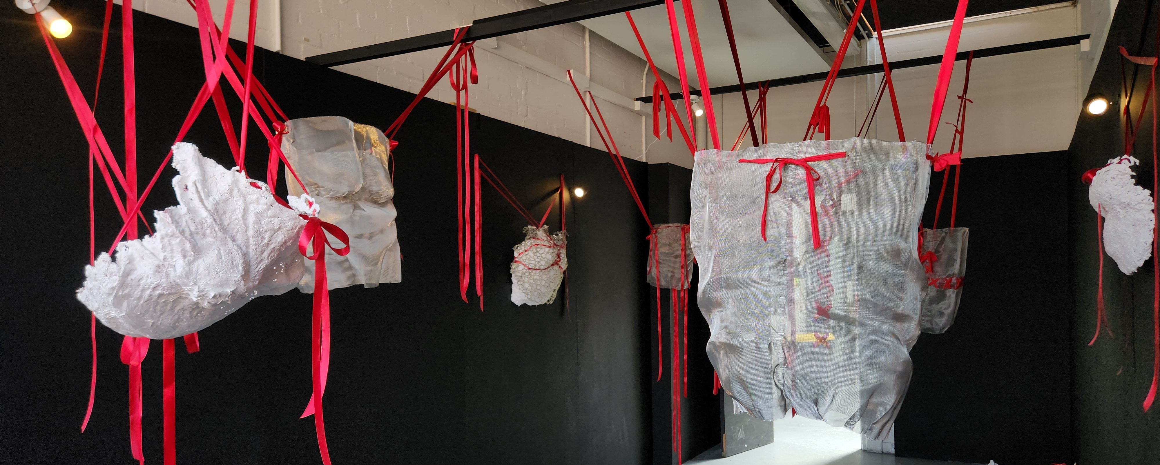 Fiona Goldswain | Fine Art 4