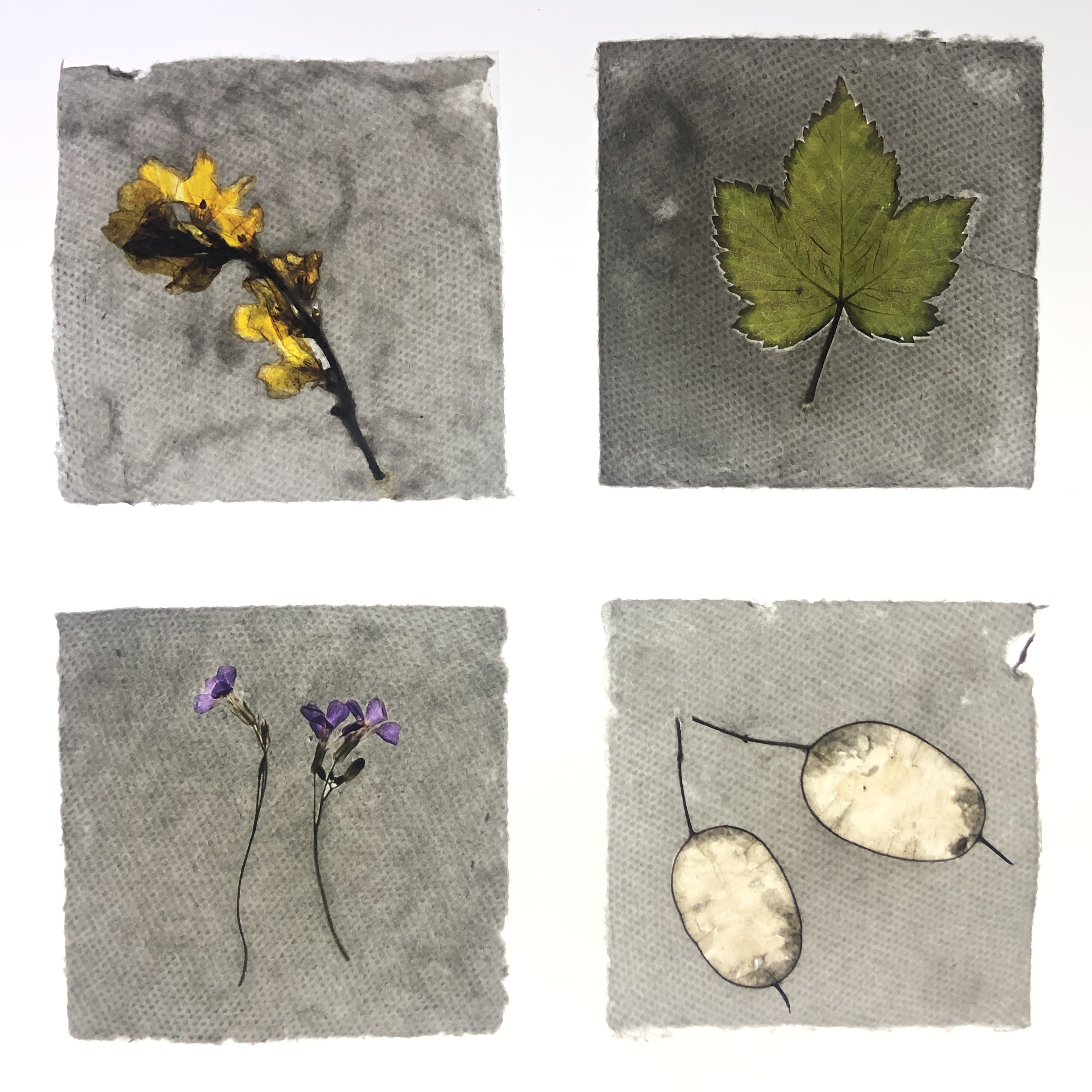 Sophie Taschner-Baldwin | Fine Art 1