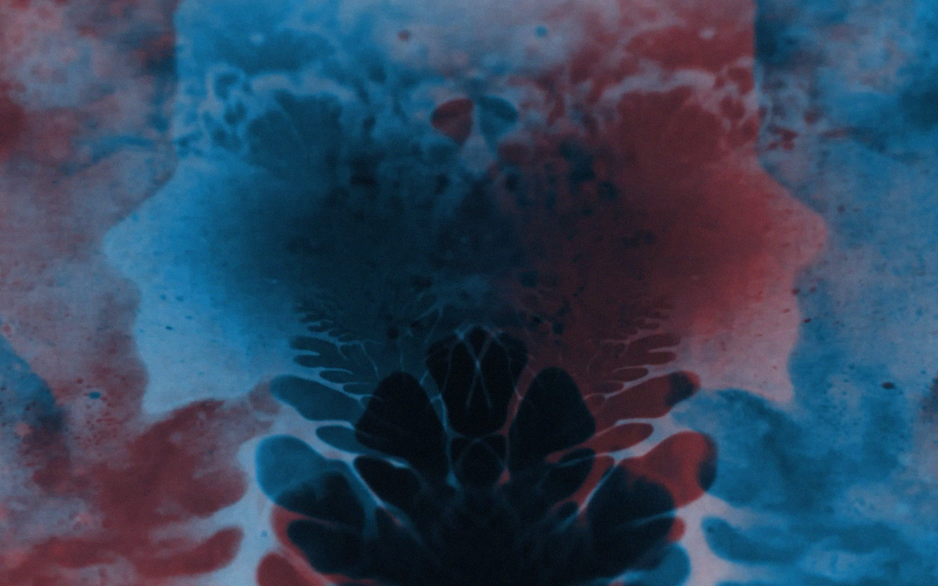 Maha Noor | Animation 1