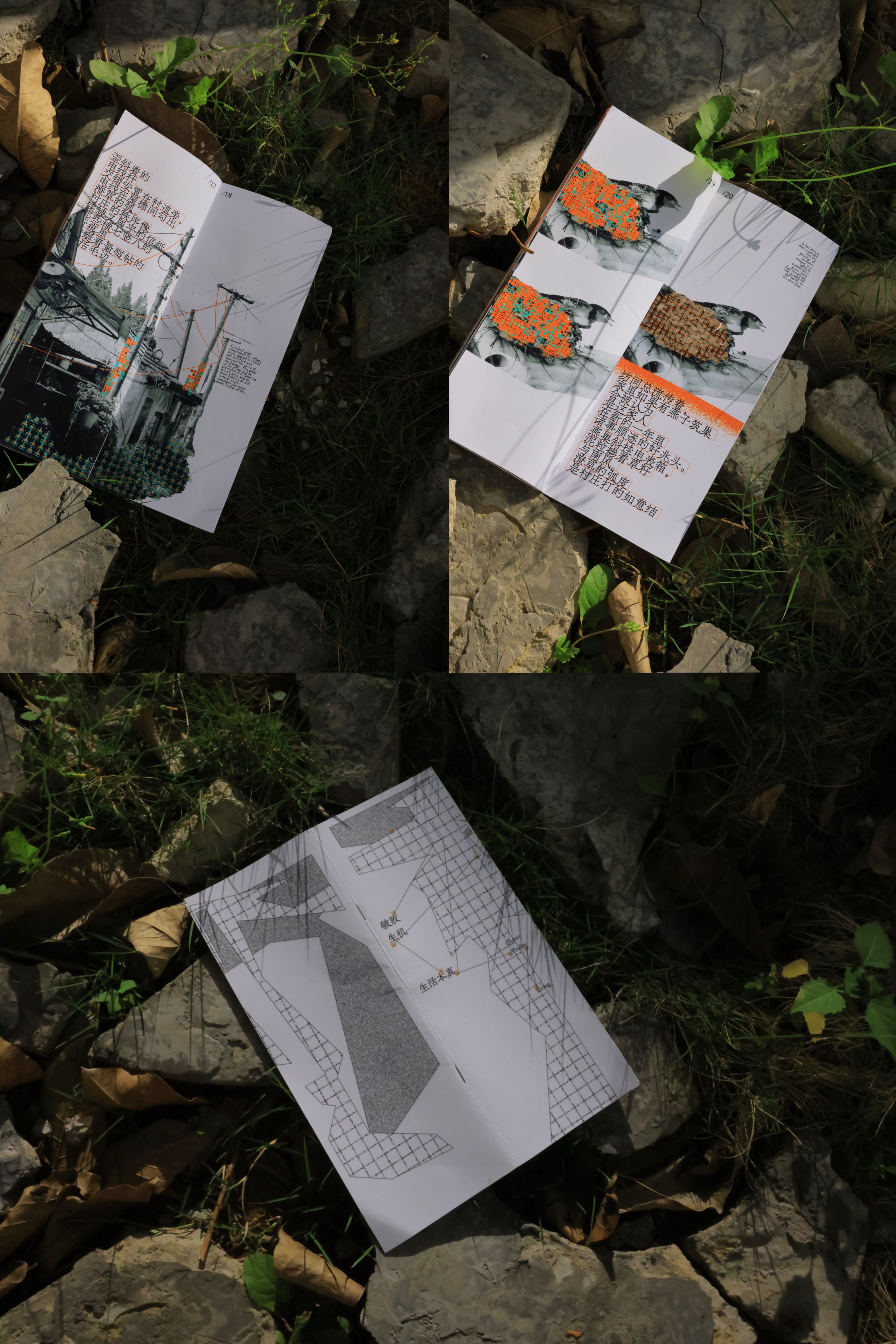 Shaqi LI | ICI China 1