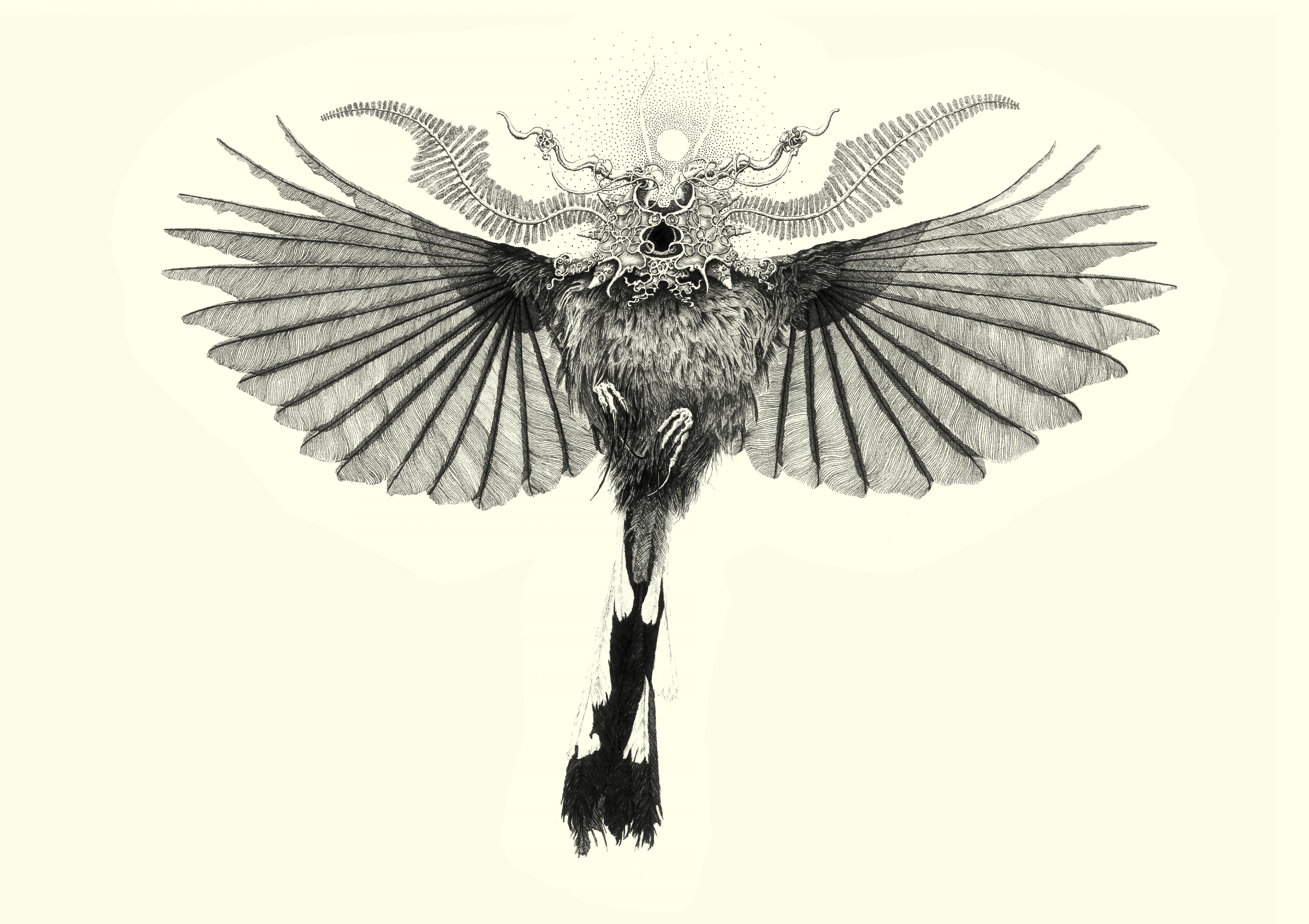 Jack Higham | Fine Art