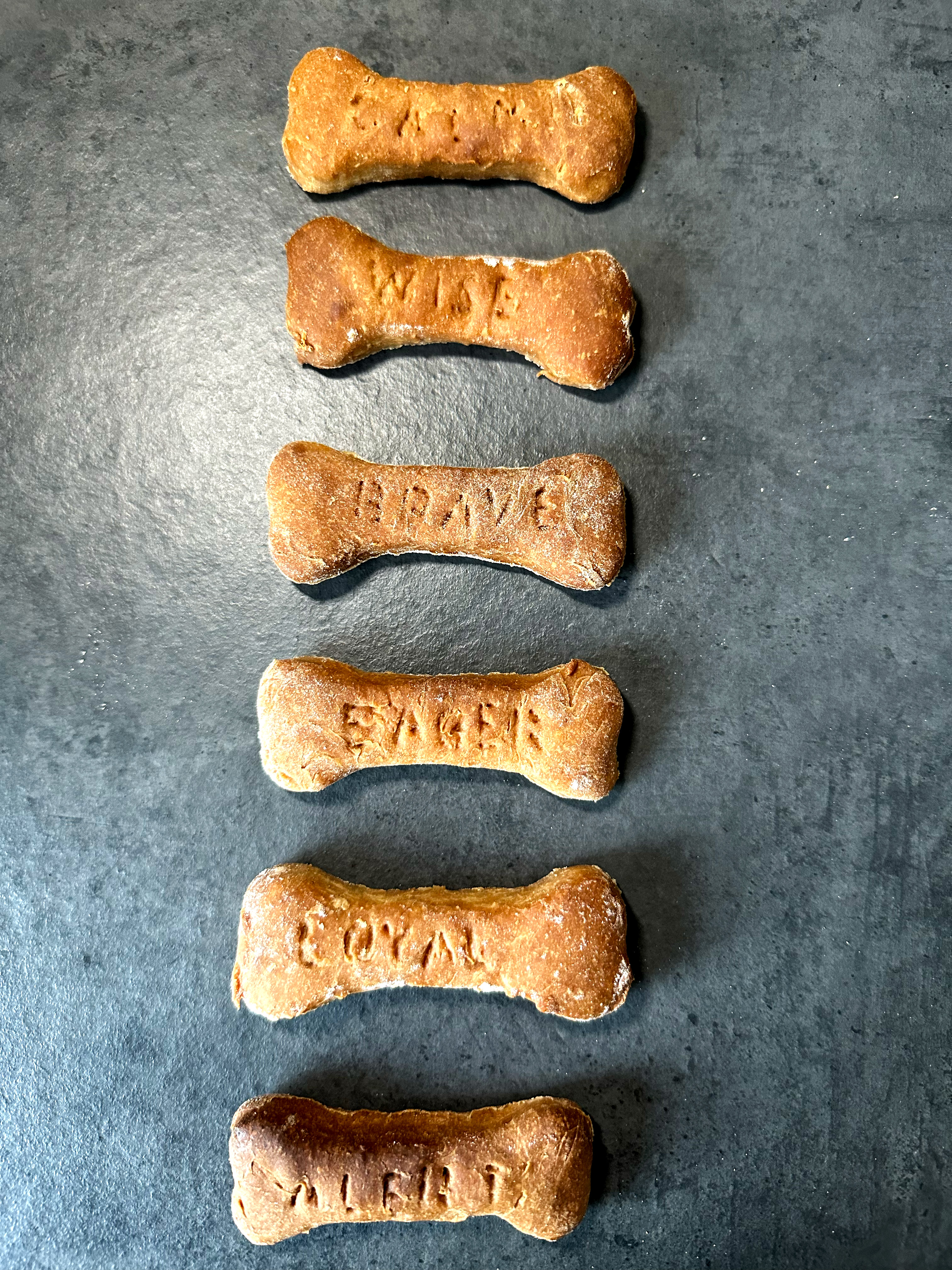 Ella Wakeling | Illustration