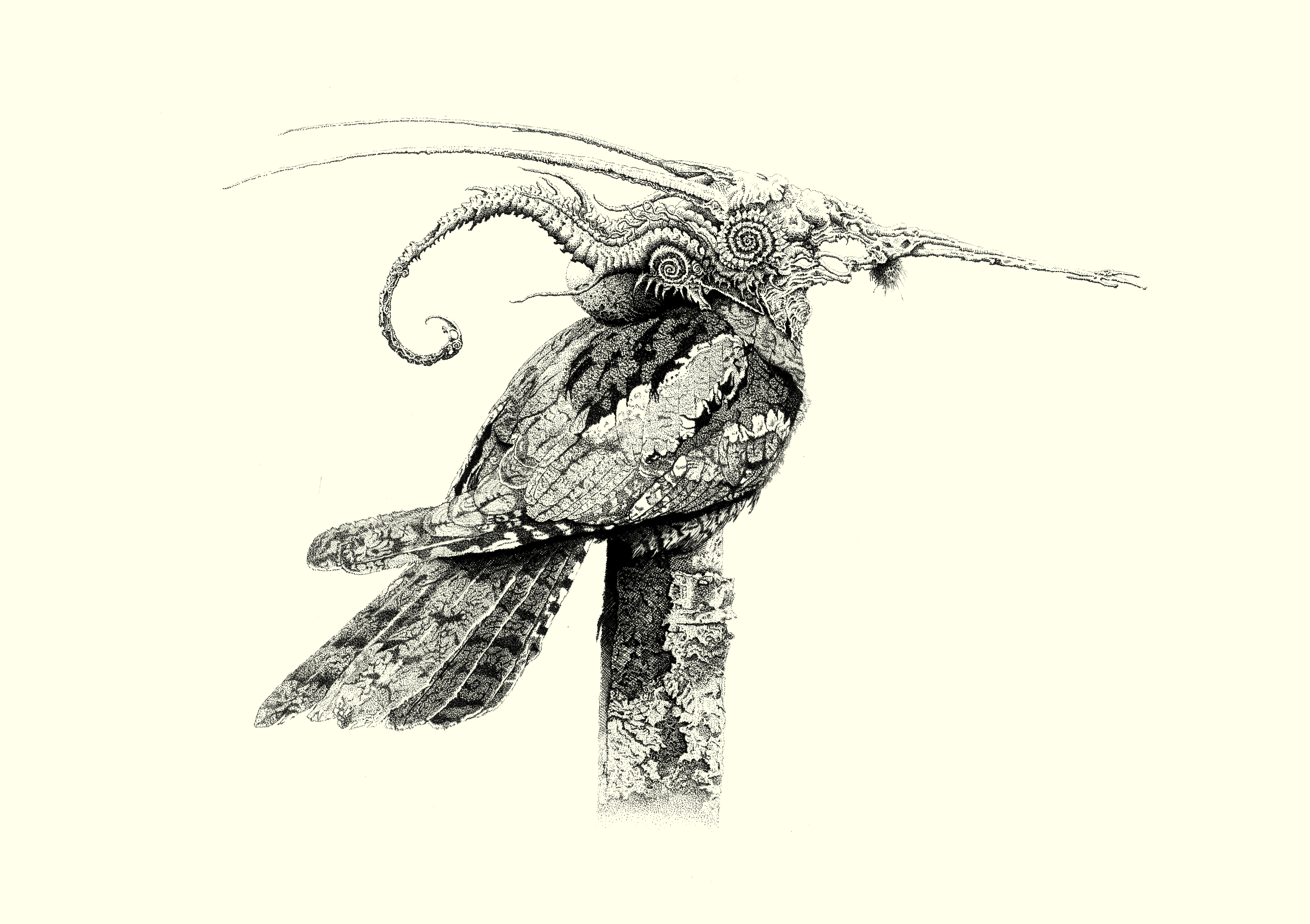 Jack Higham | Fine Art 1