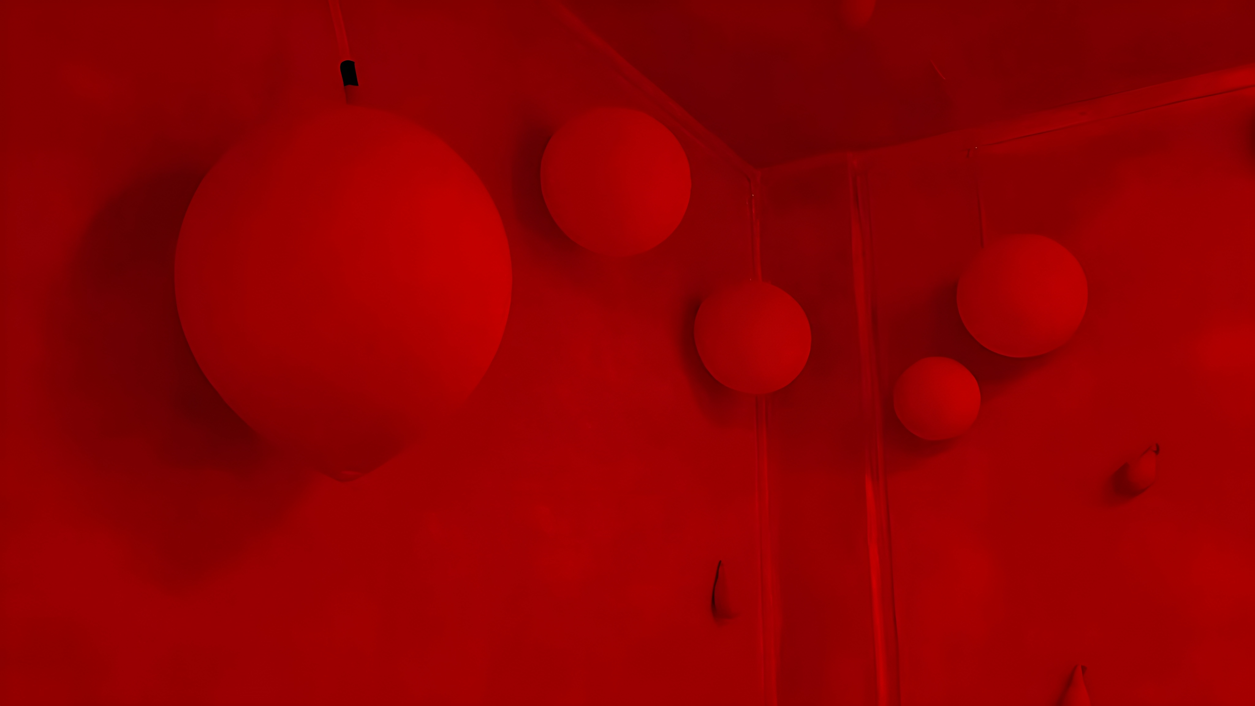 Jeremy da Silva Curiel | Fine Art 1