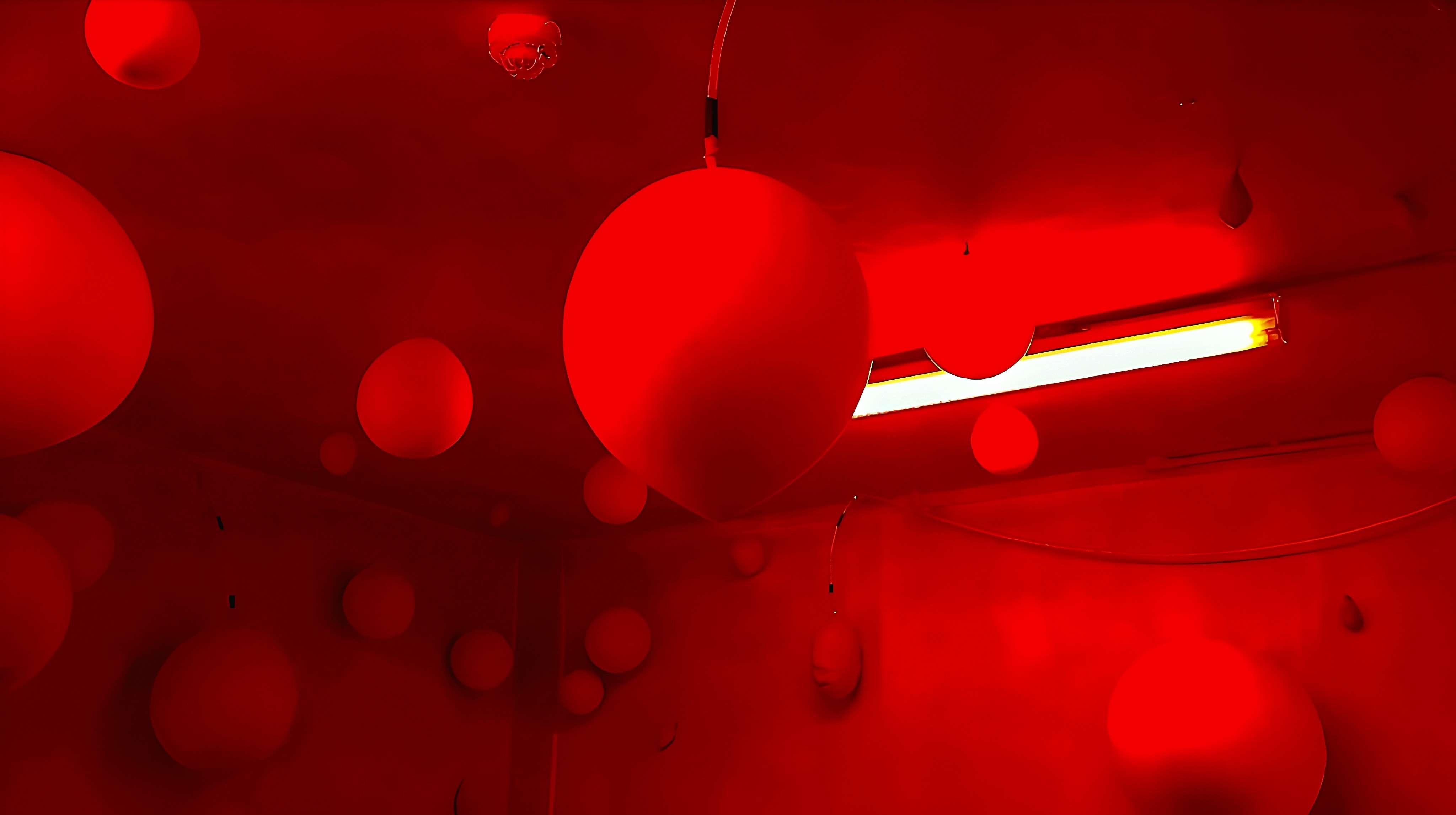 Jeremy da Silva Curiel | Fine Art 3