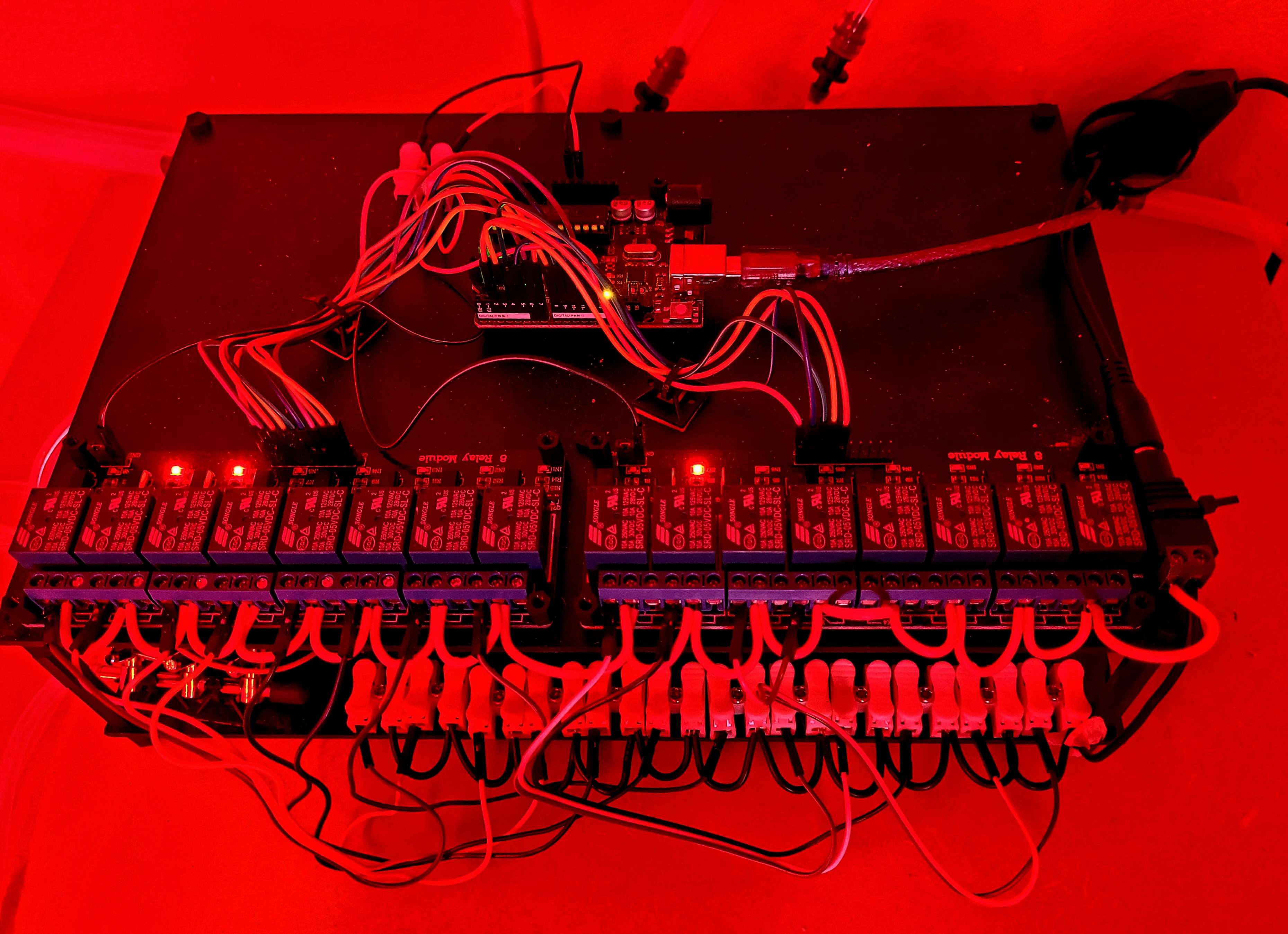 Jeremy da Silva Curiel | Fine Art