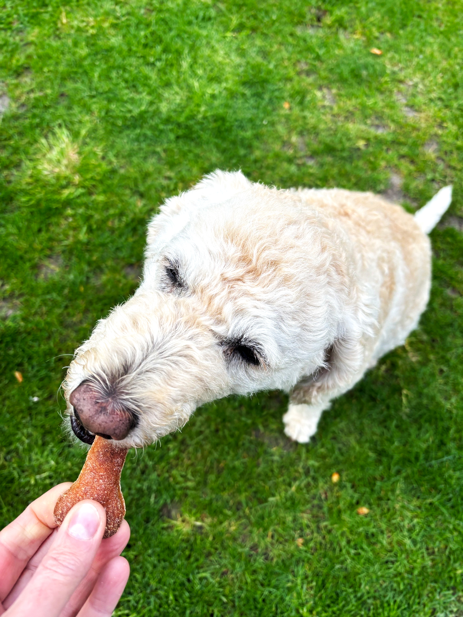 Ella Wakeling | Illustration 1