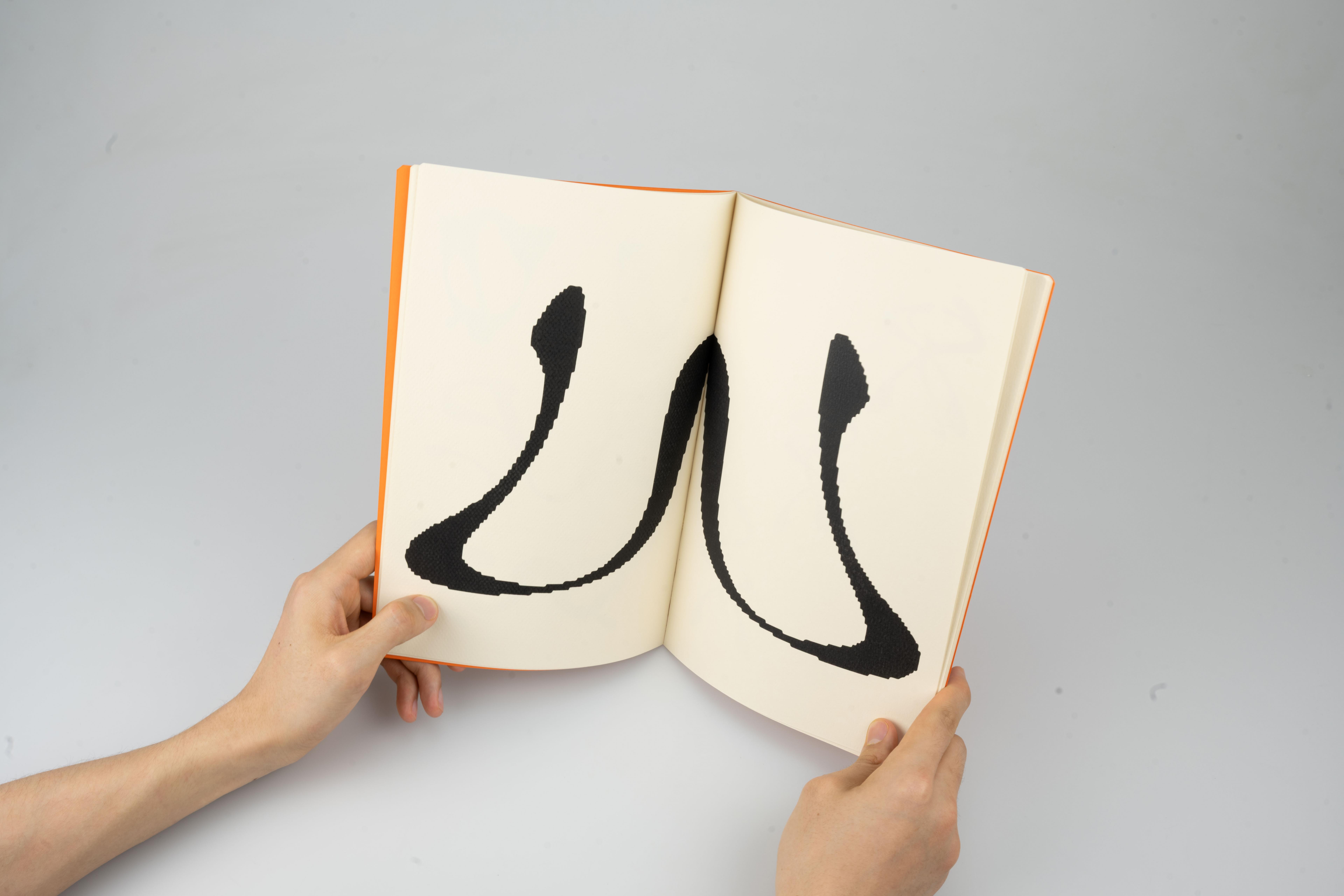 Tianyi Xu | Graphic Design 5