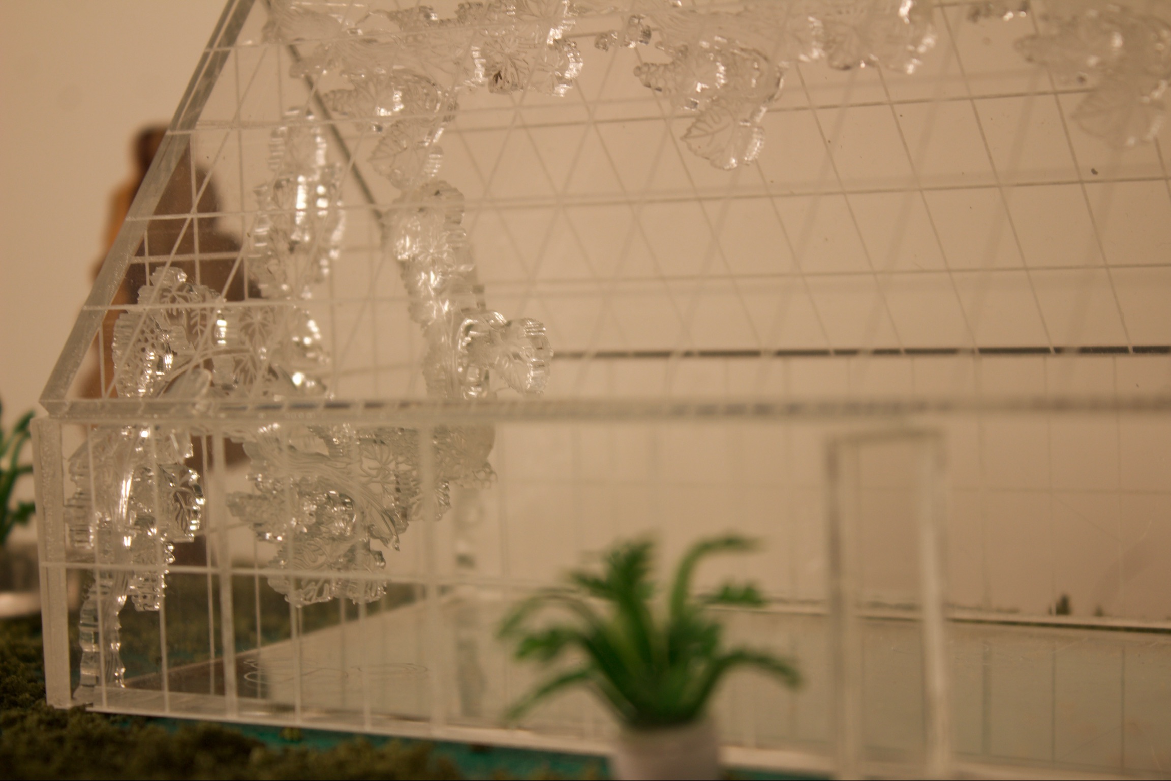 Alicia Paul | Interior Design