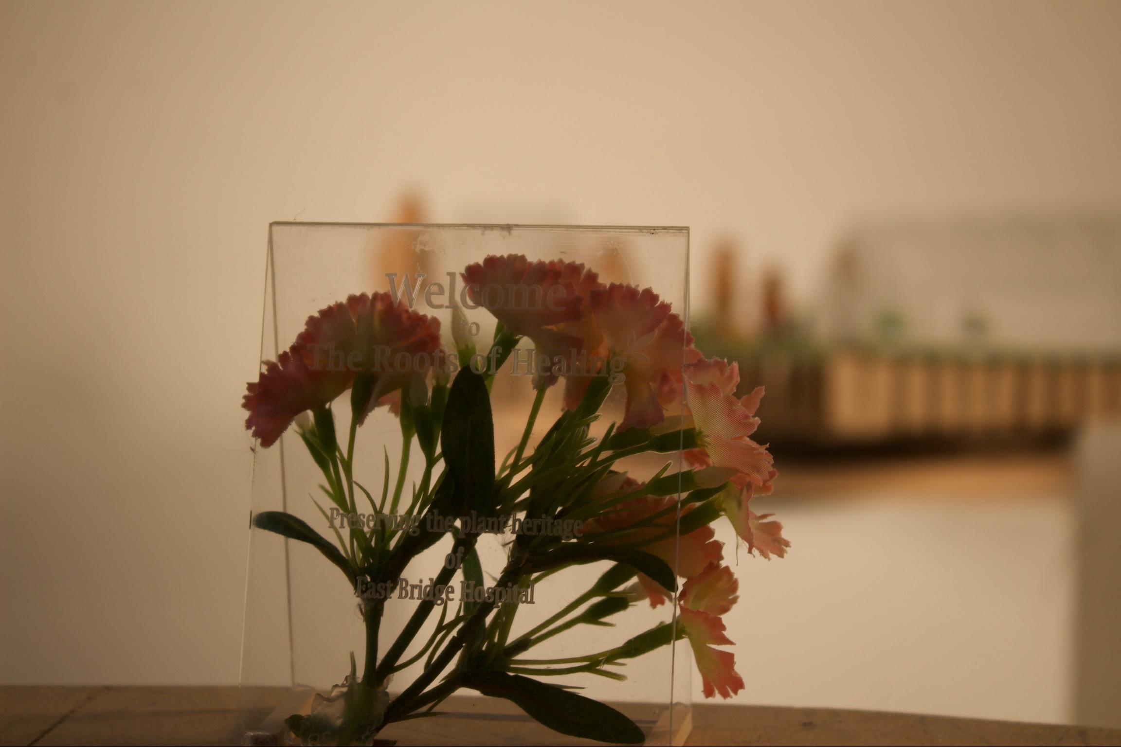 Alicia Paul | Interior Design 3