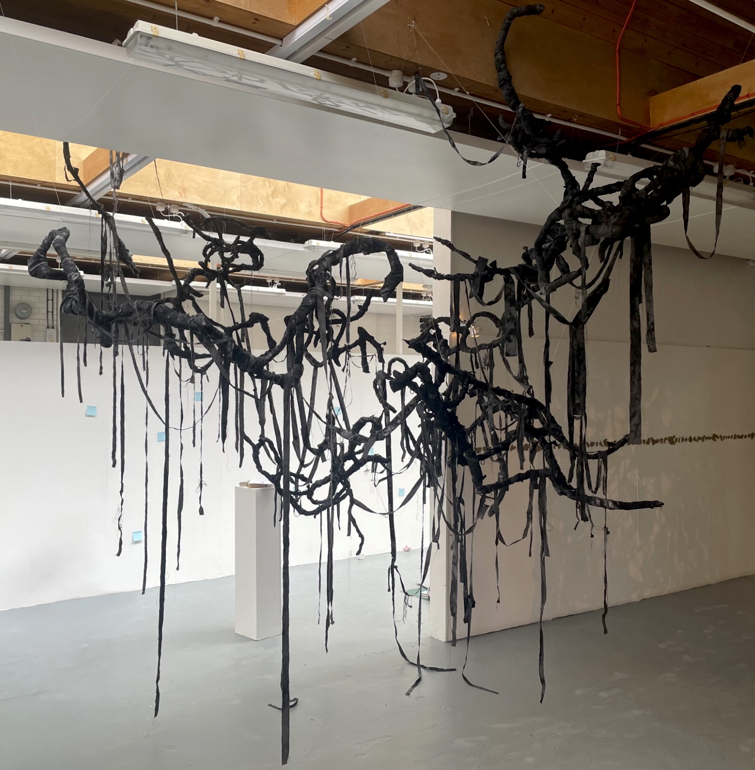 Clarissa Ayres | Fine Art 4