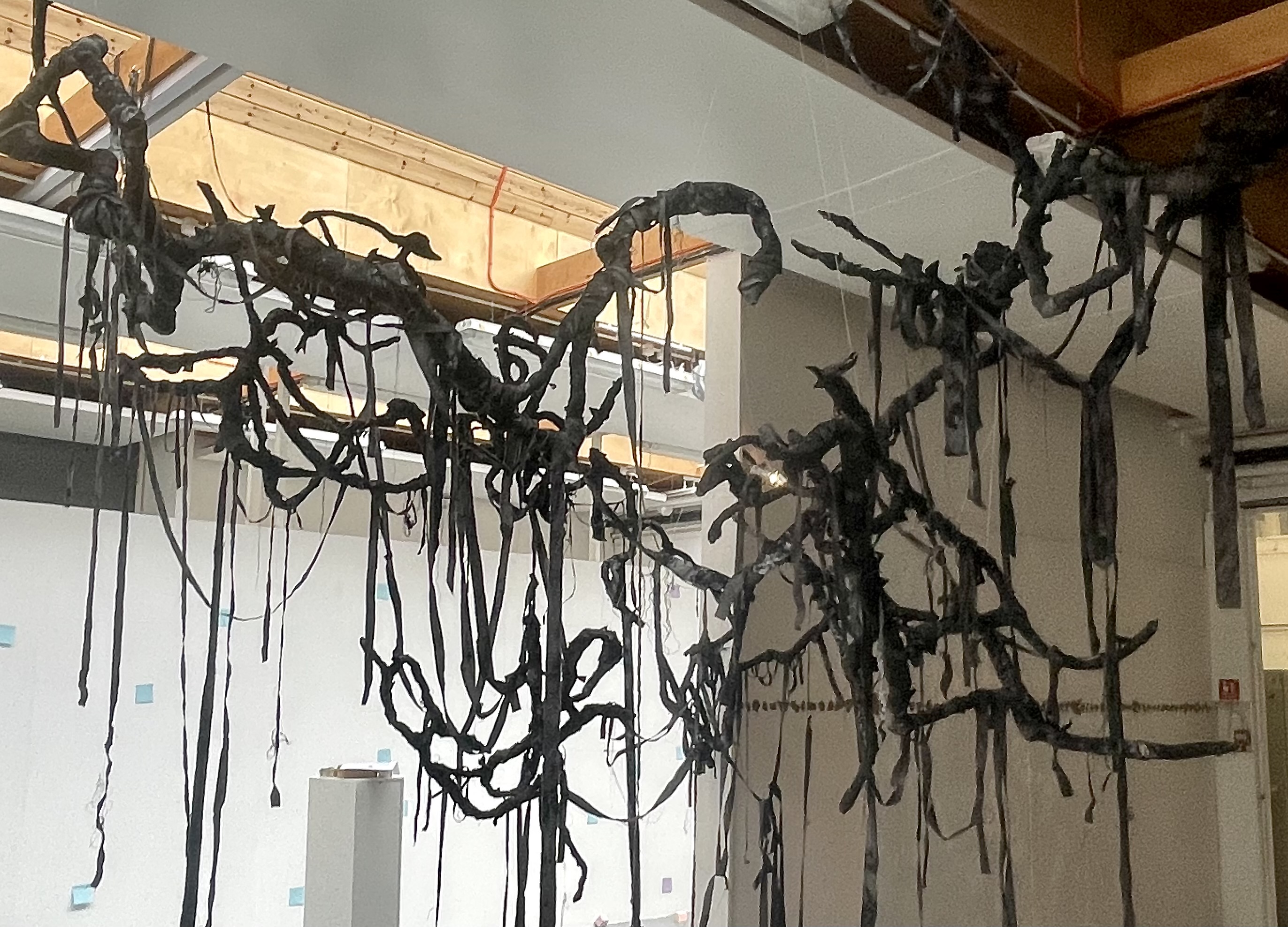 Clarissa Ayres | Fine Art 2