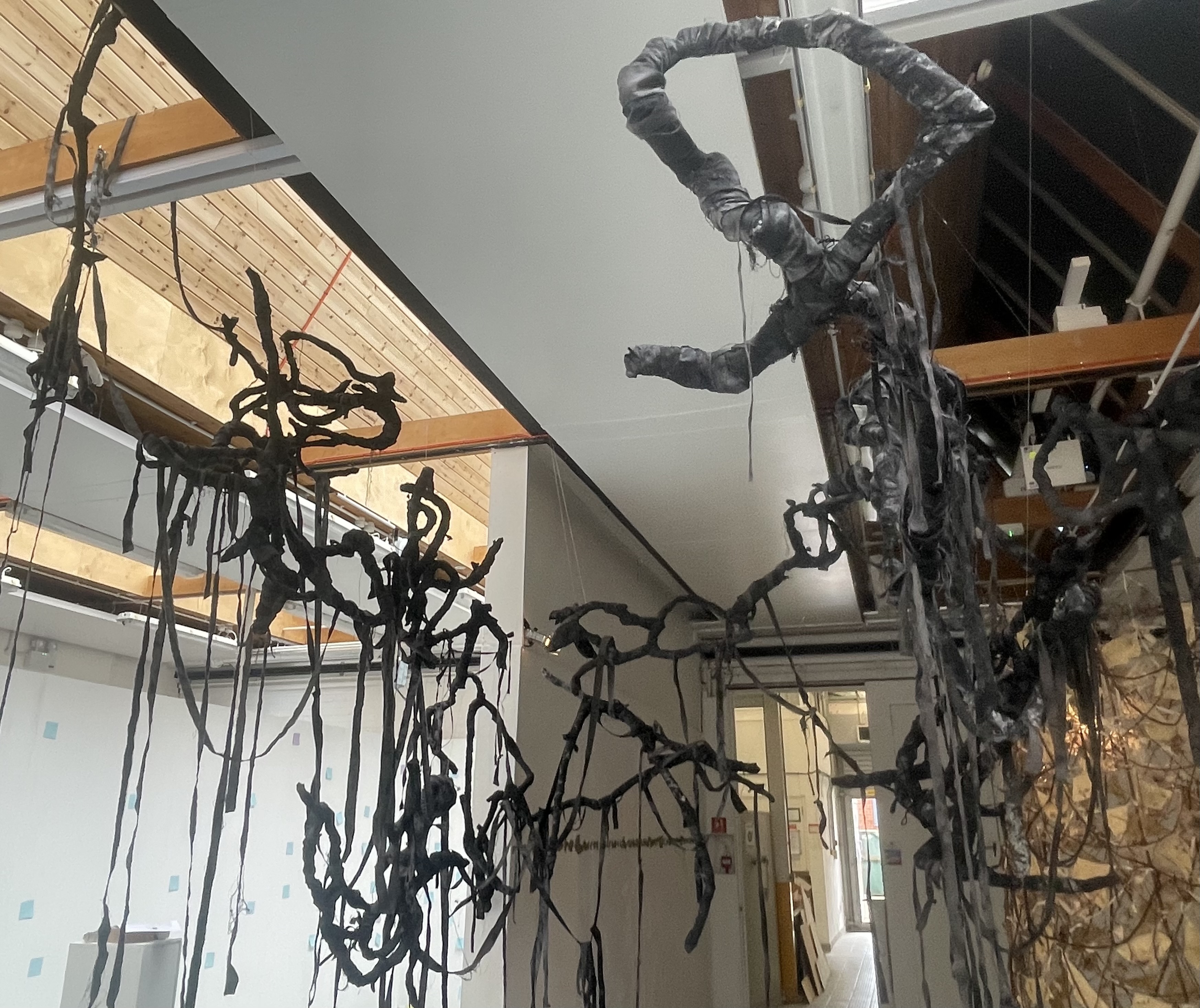 Clarissa Ayres | Fine Art