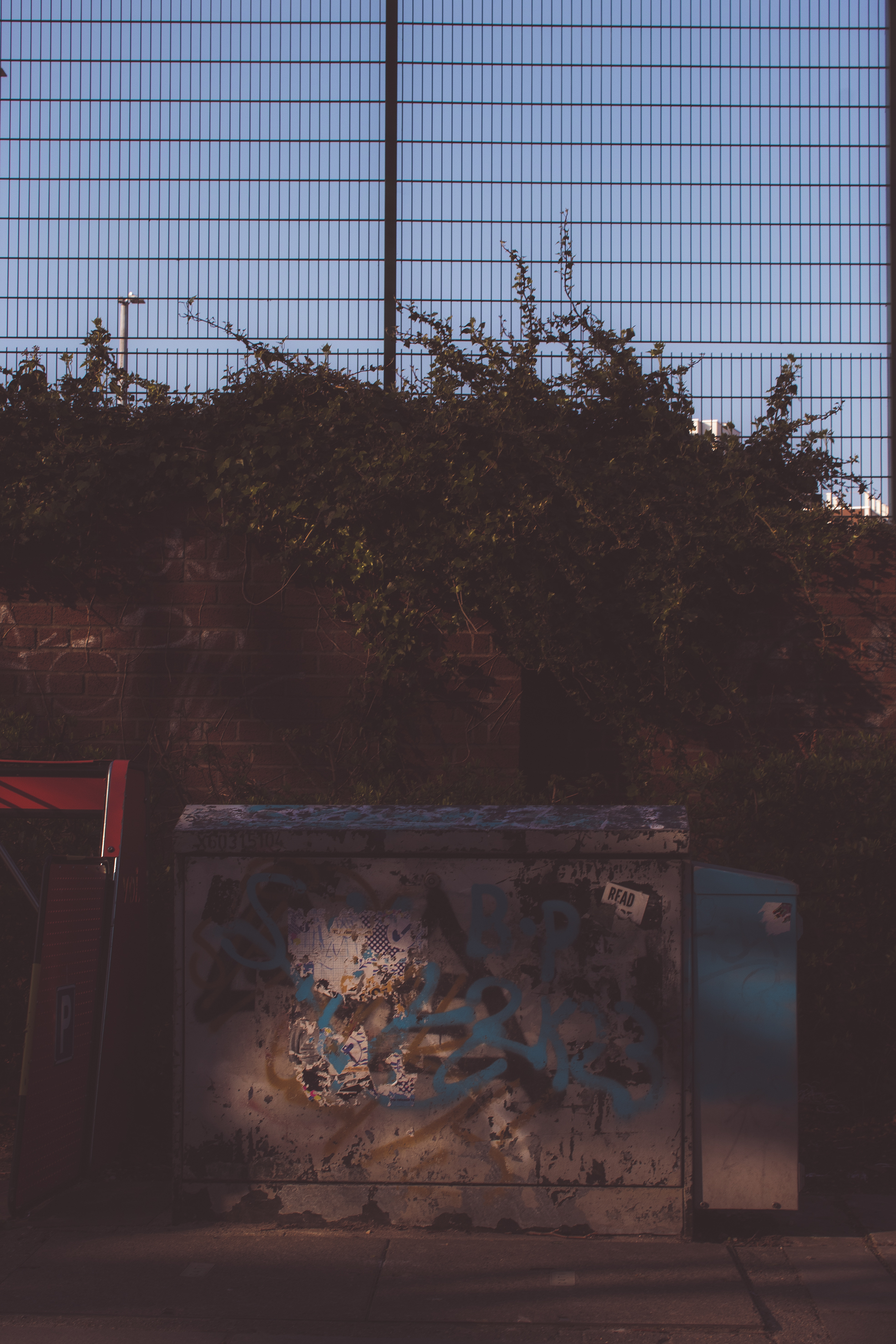 Zak Lacey | Photography