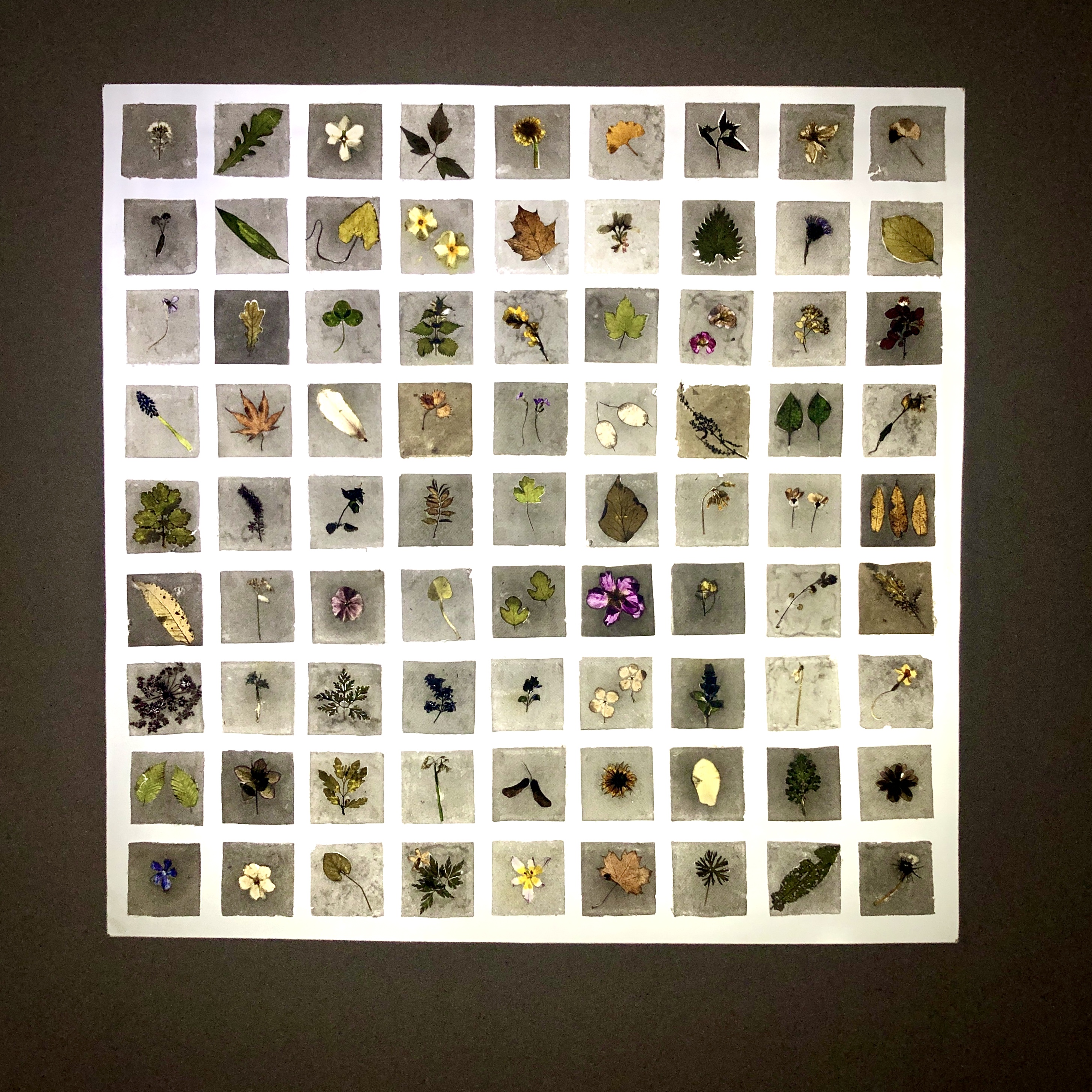 Sophie Taschner-Baldwin | Fine Art 4