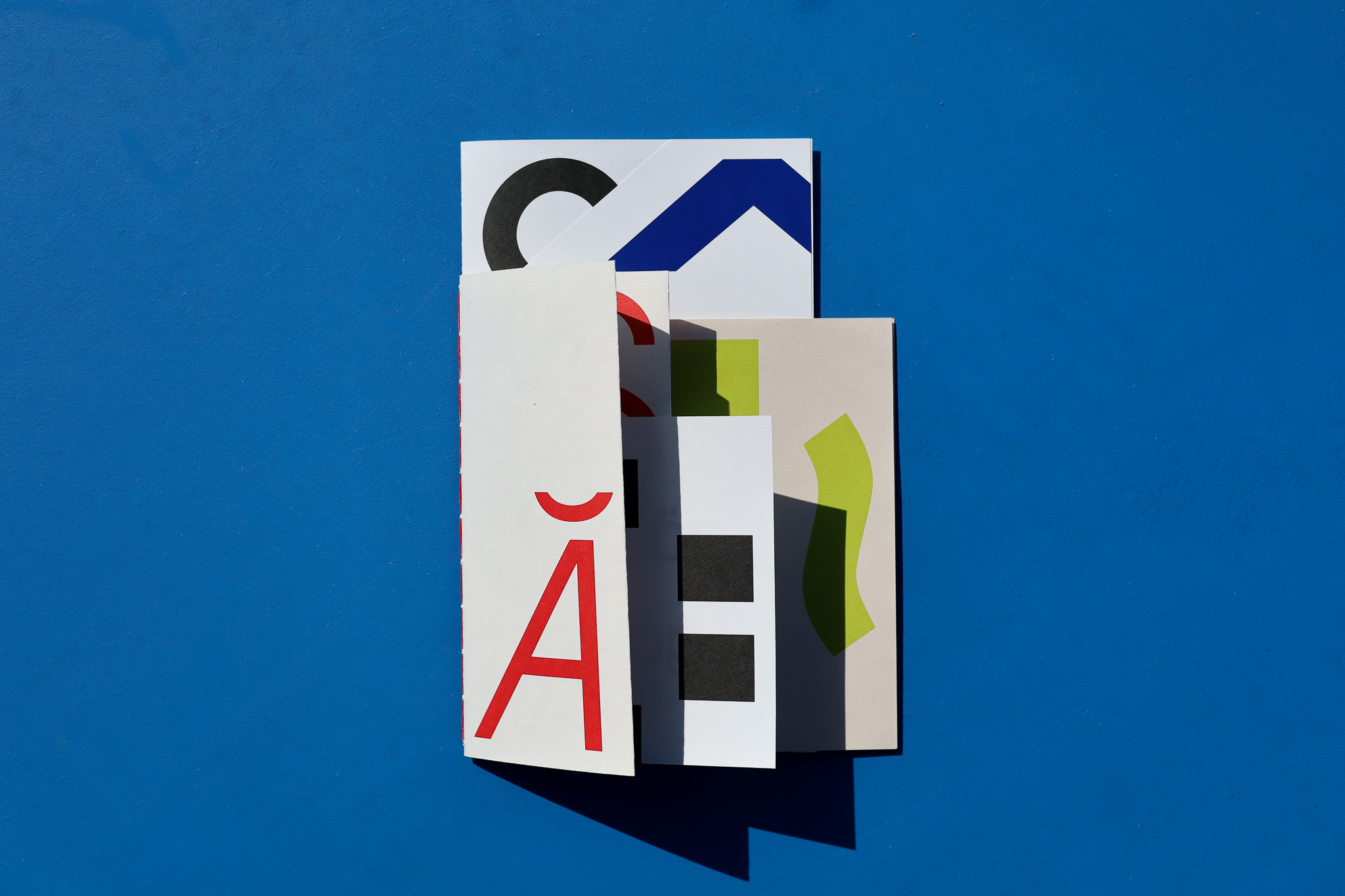 Emily Lucas | Graphic Design 3