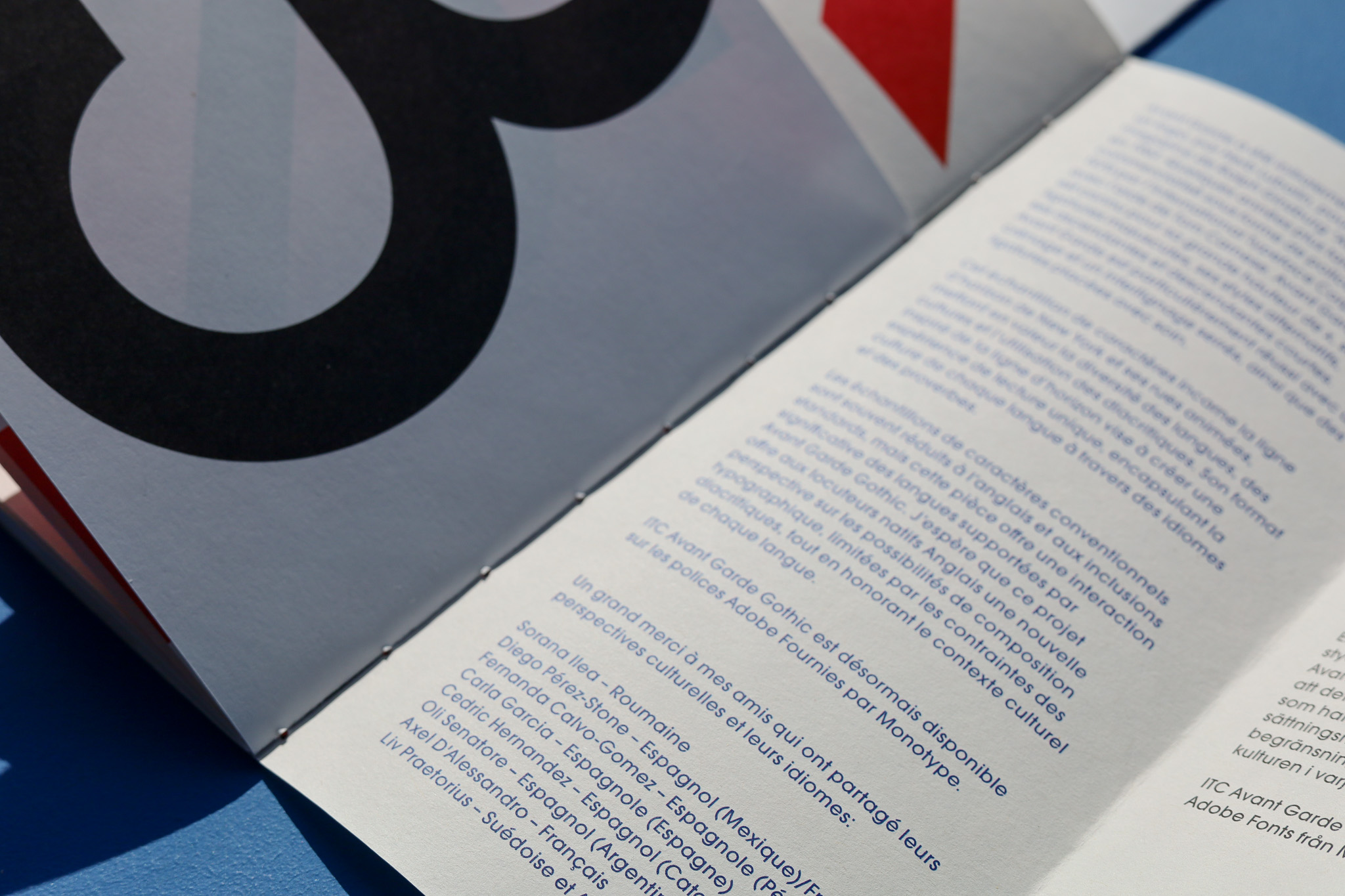 Emily Lucas | Graphic Design 1