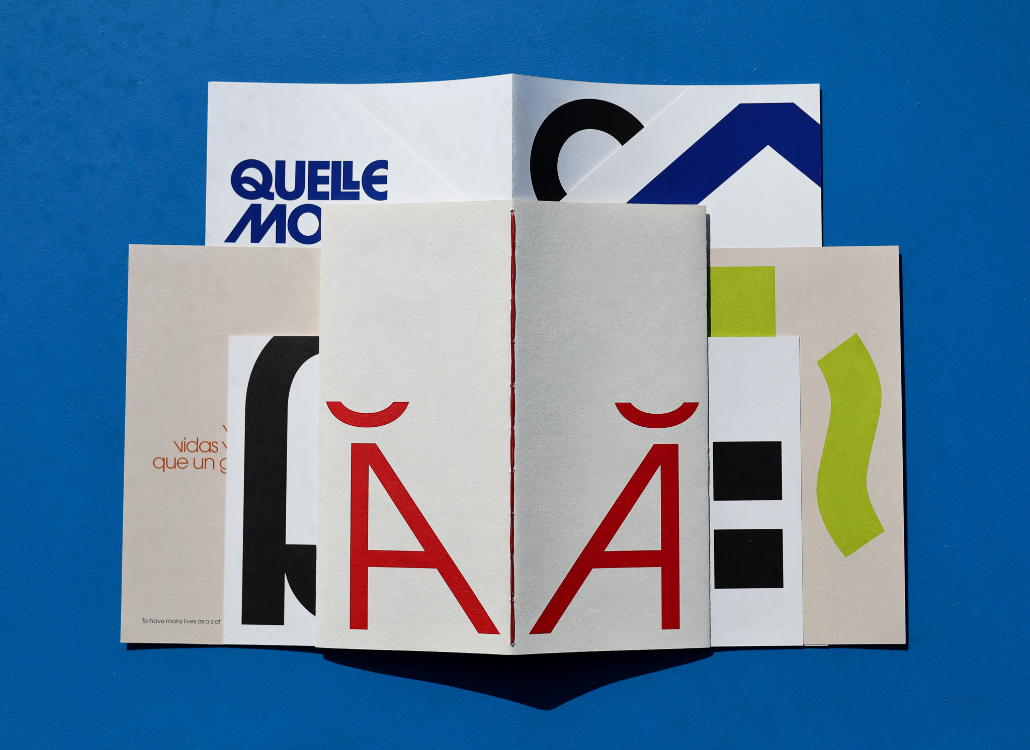 Emily Lucas | Graphic Design 4