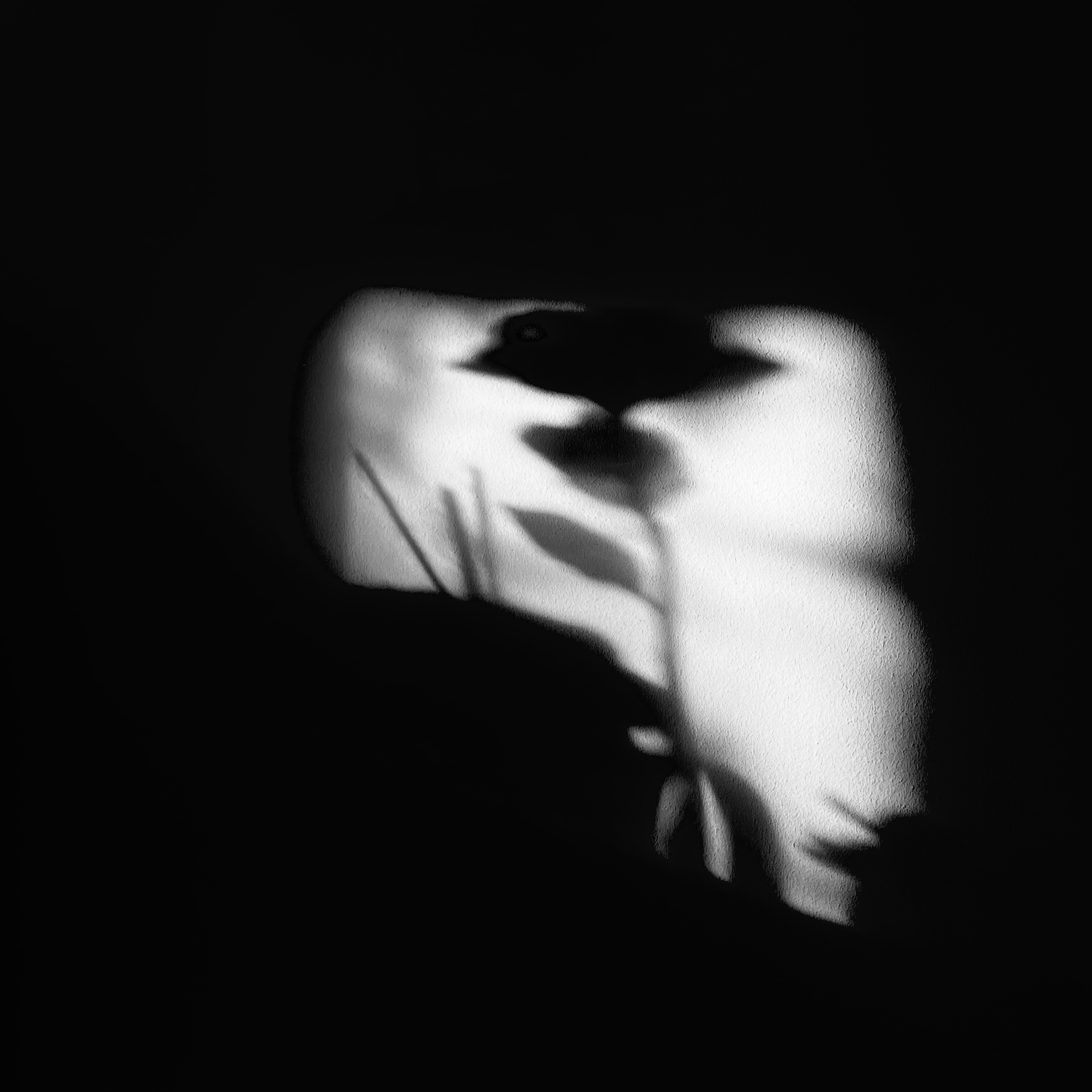 Olivia-Rose Kaur Labana | Photography 1