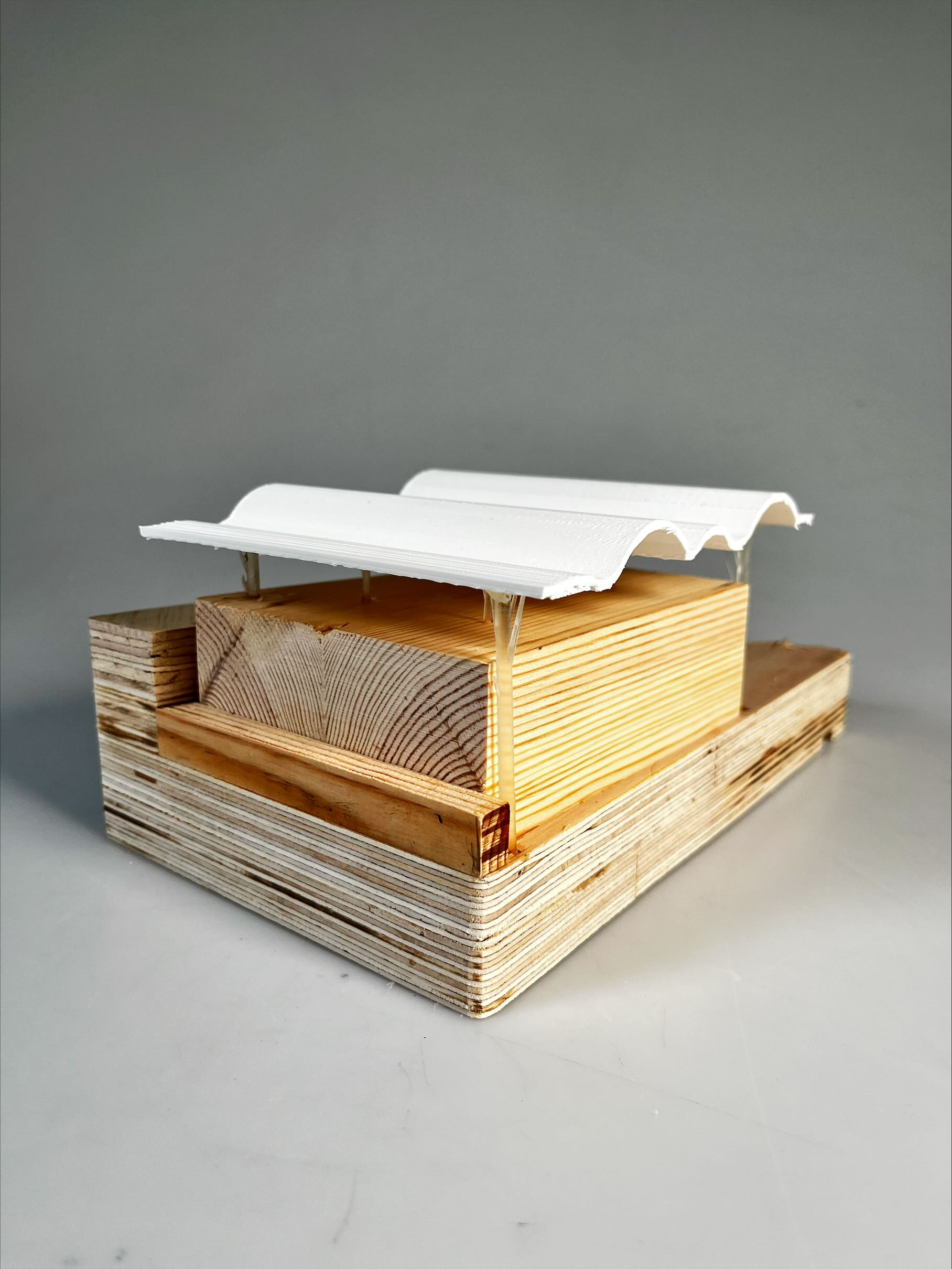 Sophie Johnson Medina | Architecture