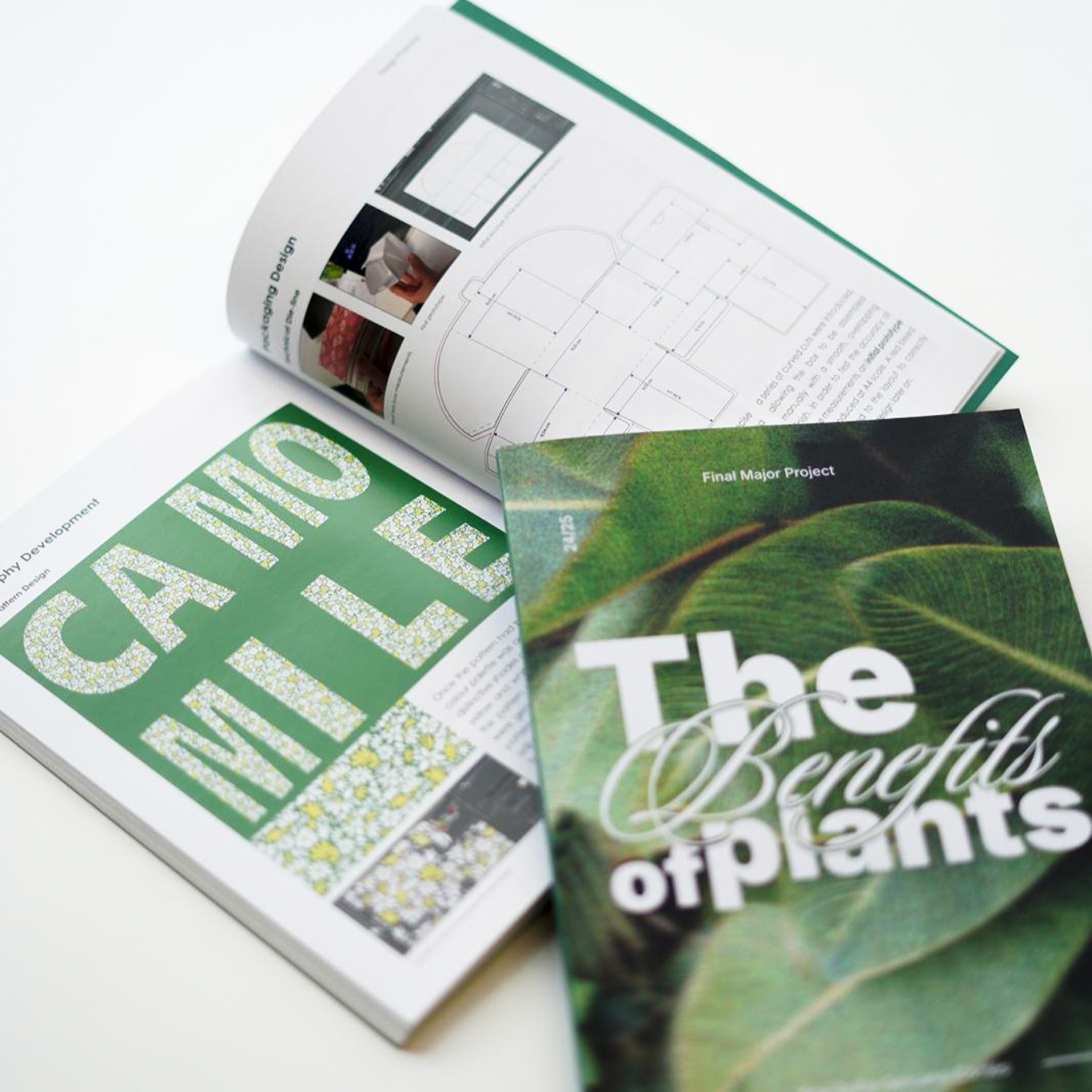 Ana Serrano Cortes | Graphic Design 1