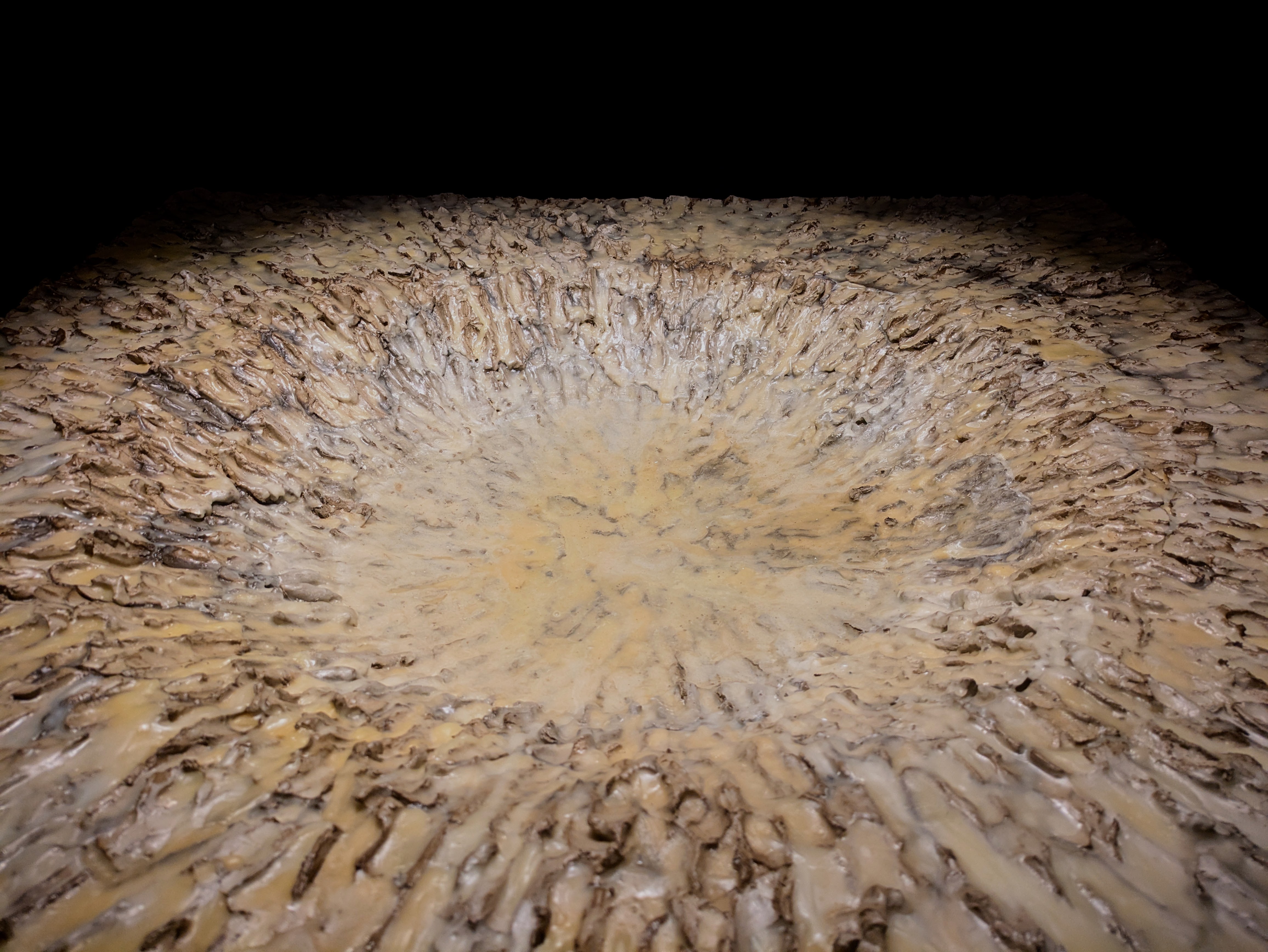 Amy Noonan | Fine Art